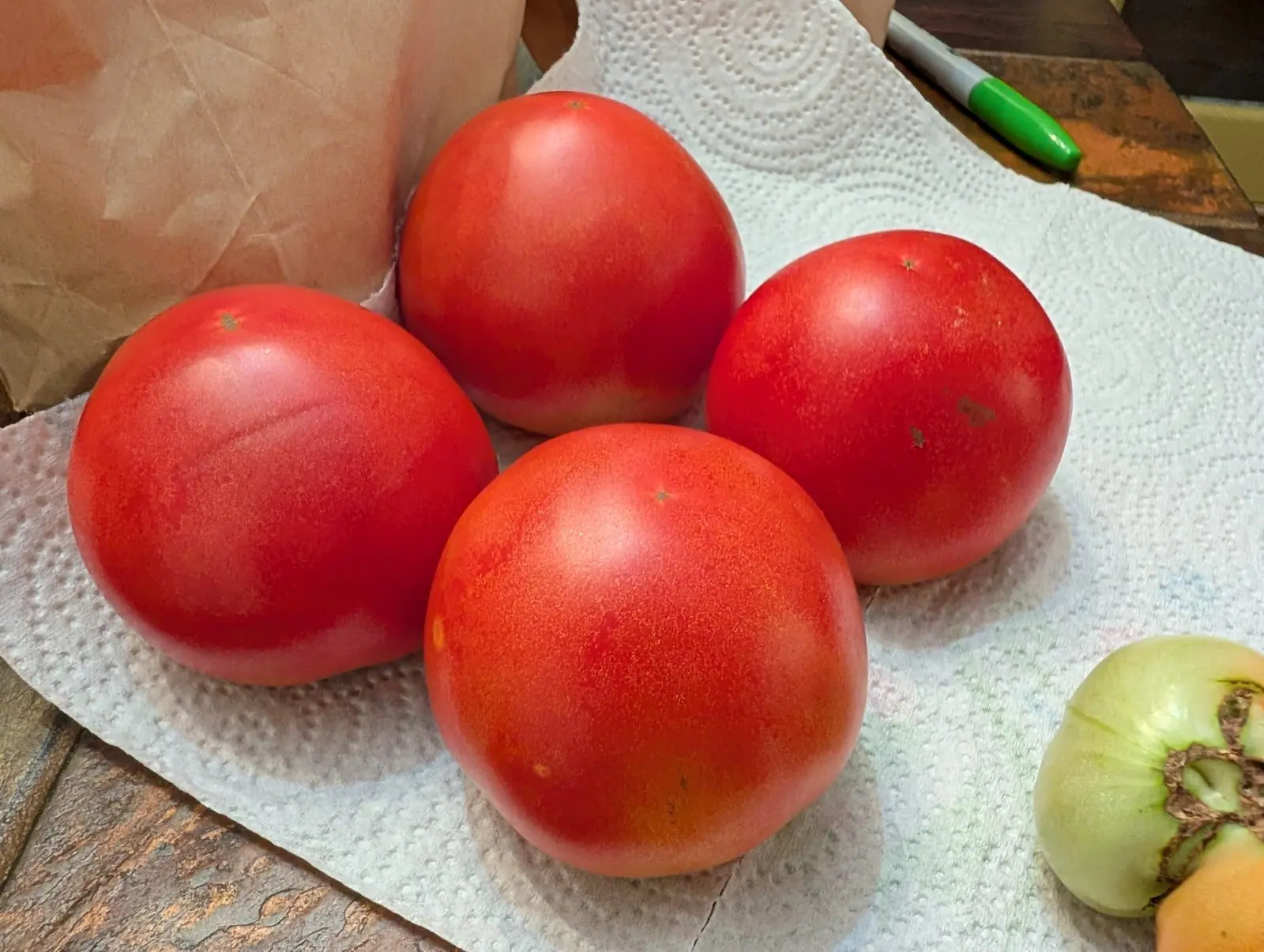 Big Boy tomatoes picked on 12 August, four scarlet globes carrying a matte bloom rather than a shine, each dimpled where the calyx tore away, and a fifth still wholly green with its stem end folded into a rosette of corky scar.