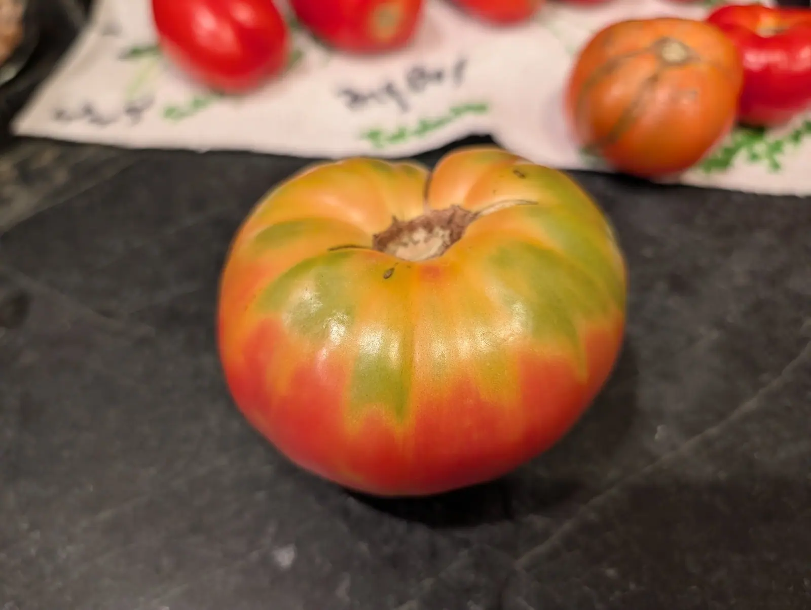 A Rosso Sicilian picked on 15 August, ribbed into ten rounded lobes and coloring in rays — hard green wedges still radiating from the crown between bands of butter yellow and apricot, the lowest third flushed salmon-red, on dark slate.