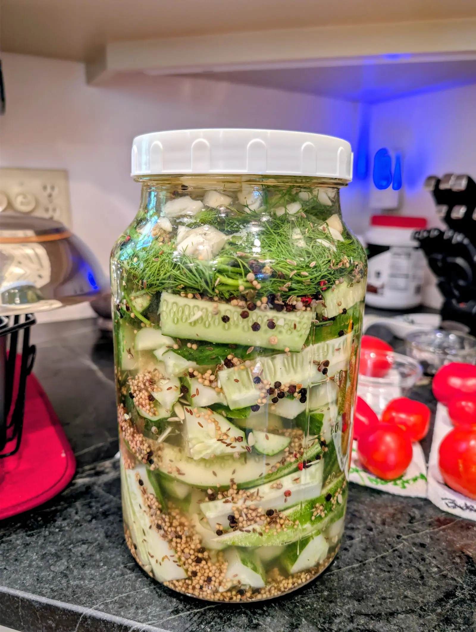 A jar packed on 21 August, layered with dark-skinned cucurbit spears in a brine still perfectly clear, dill and whole garlic cloves crammed into the top and mustard seed and peppercorns drifted thick along the bottom, under warm kitchen light.