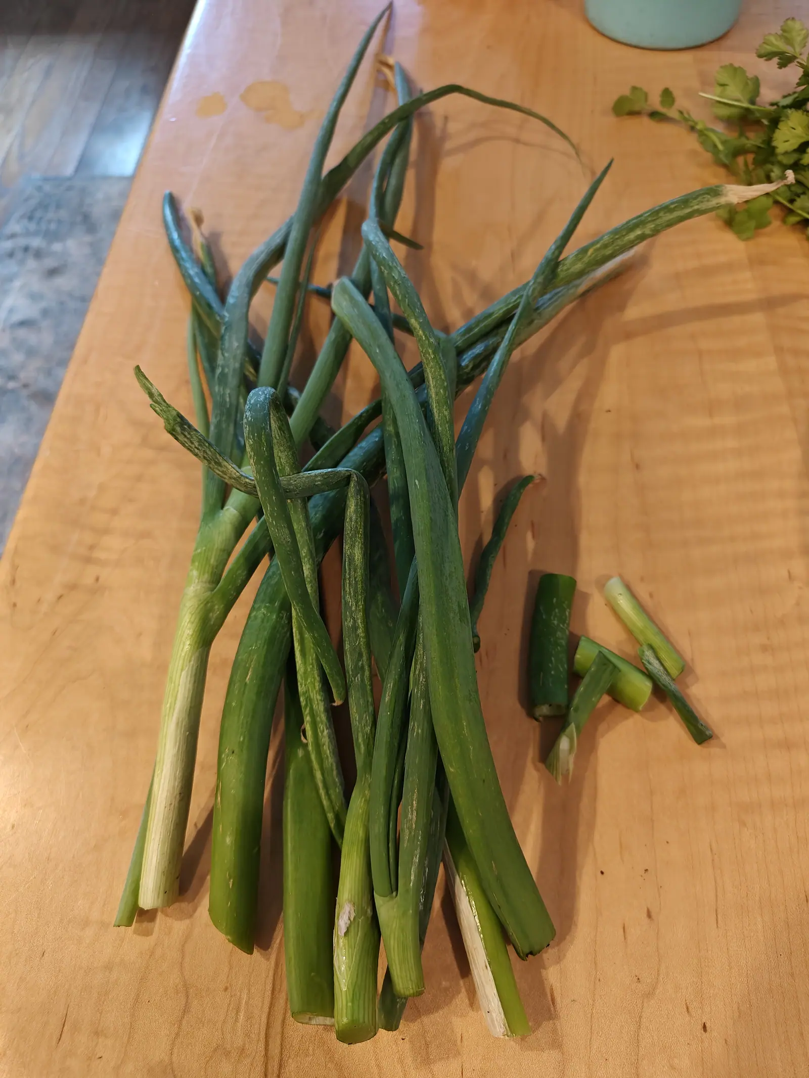 Scallions pulled on 7 June and heaped on the butcher block with the roots cut away square — blue-green tubes dusted with a waxy bloom, a few split lengthwise, four sections cut off to one side to show the hollow bore, in warm indoor light.