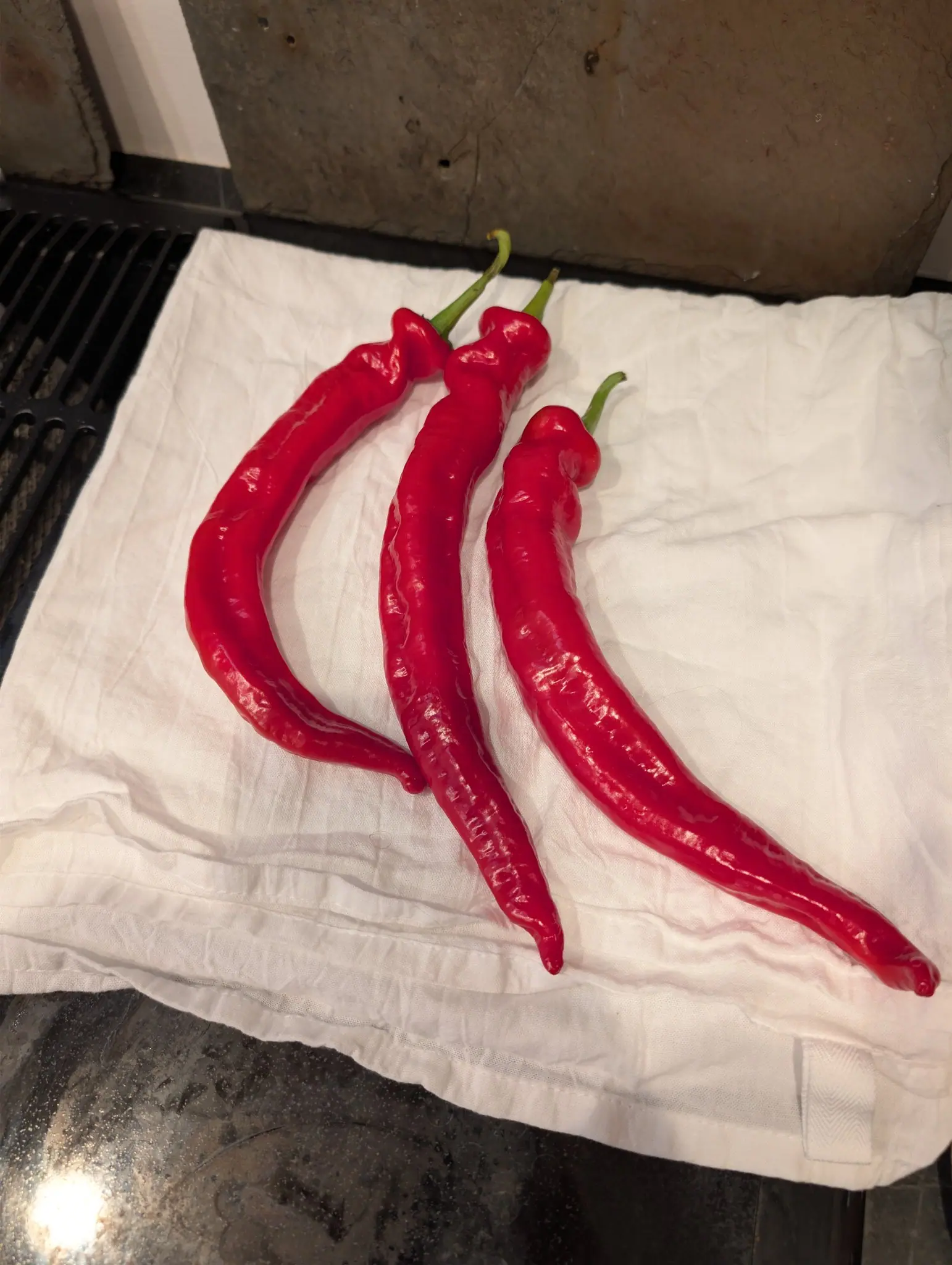 Three Ristra Cayenne chilies on 31 August, deep glossy scarlet and gently rippled along their length, each curving to a fine point with its green calyx and stalk still attached, laid on a white cloth beside a grill grate.
