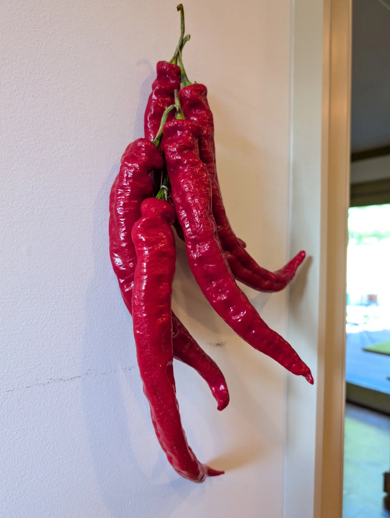 Six Ristra Cayenne II chiles hang stem-up from one bound cluster against a cream interior wall on 7 September, all of them drying — close transverse puckering across the width, the skin stretched pale orange and gold over every wrinkle, two tips curled hard.