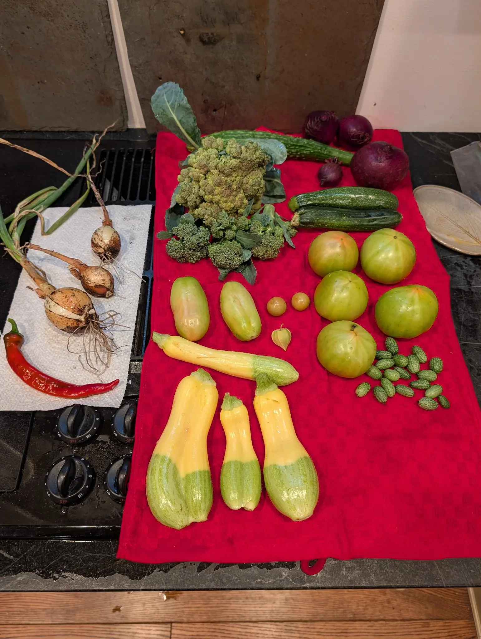 A whole pick laid out down a red towel on a kitchen counter on 4 August — a pale sage head built of small spiraled conical turrets rather than a smooth dome, and across the bottom four fruits that run buttery yellow at the neck and break to ribbed green.