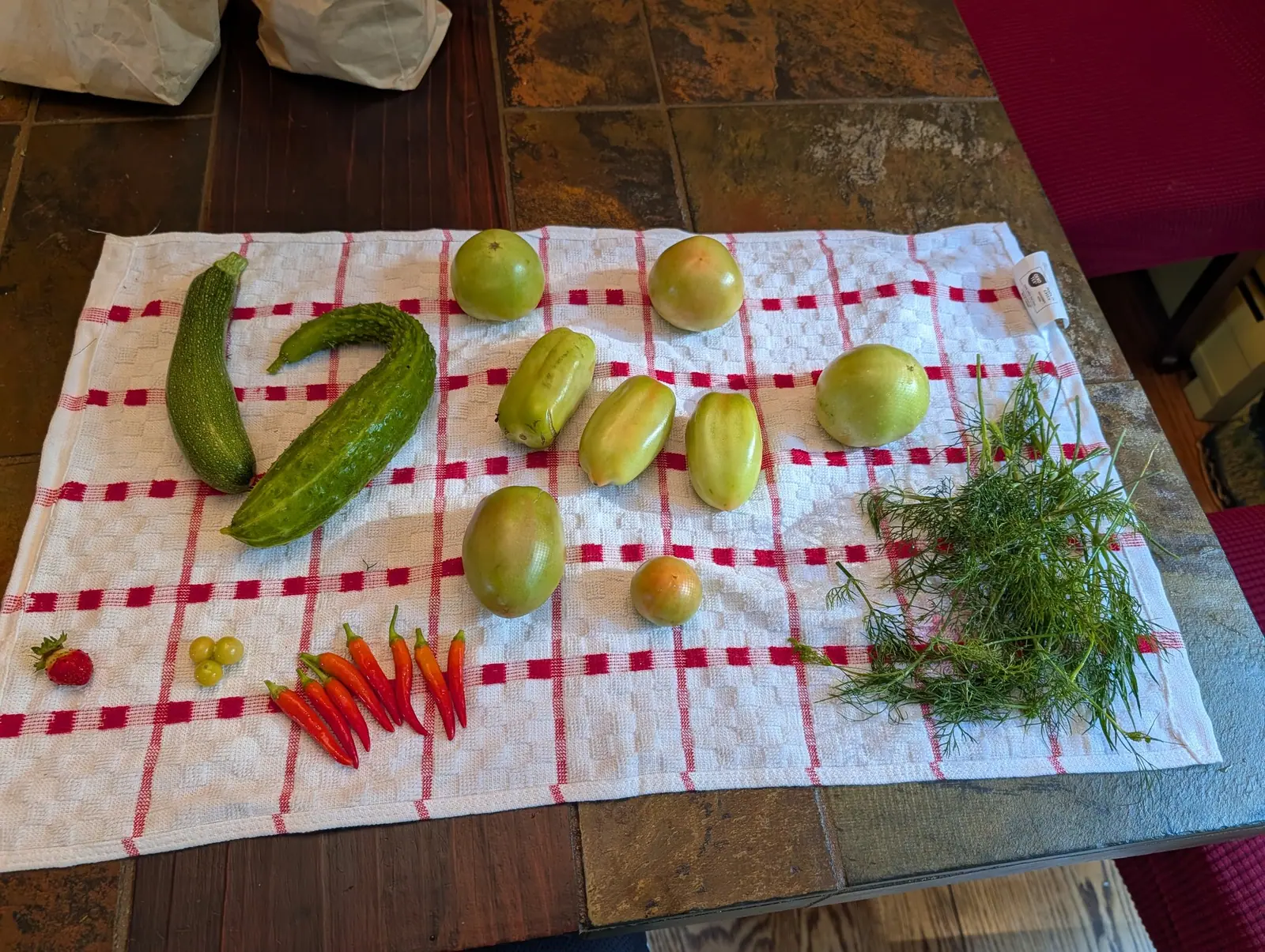 A pick spread on a checked towel indoors on 4 August, almost none of it ripe — eight pale yellow-green fruits through the middle, a single shoulder among them blushed orange — and below, a fanned row of eight slender tapered ones running scarlet to orange-red.