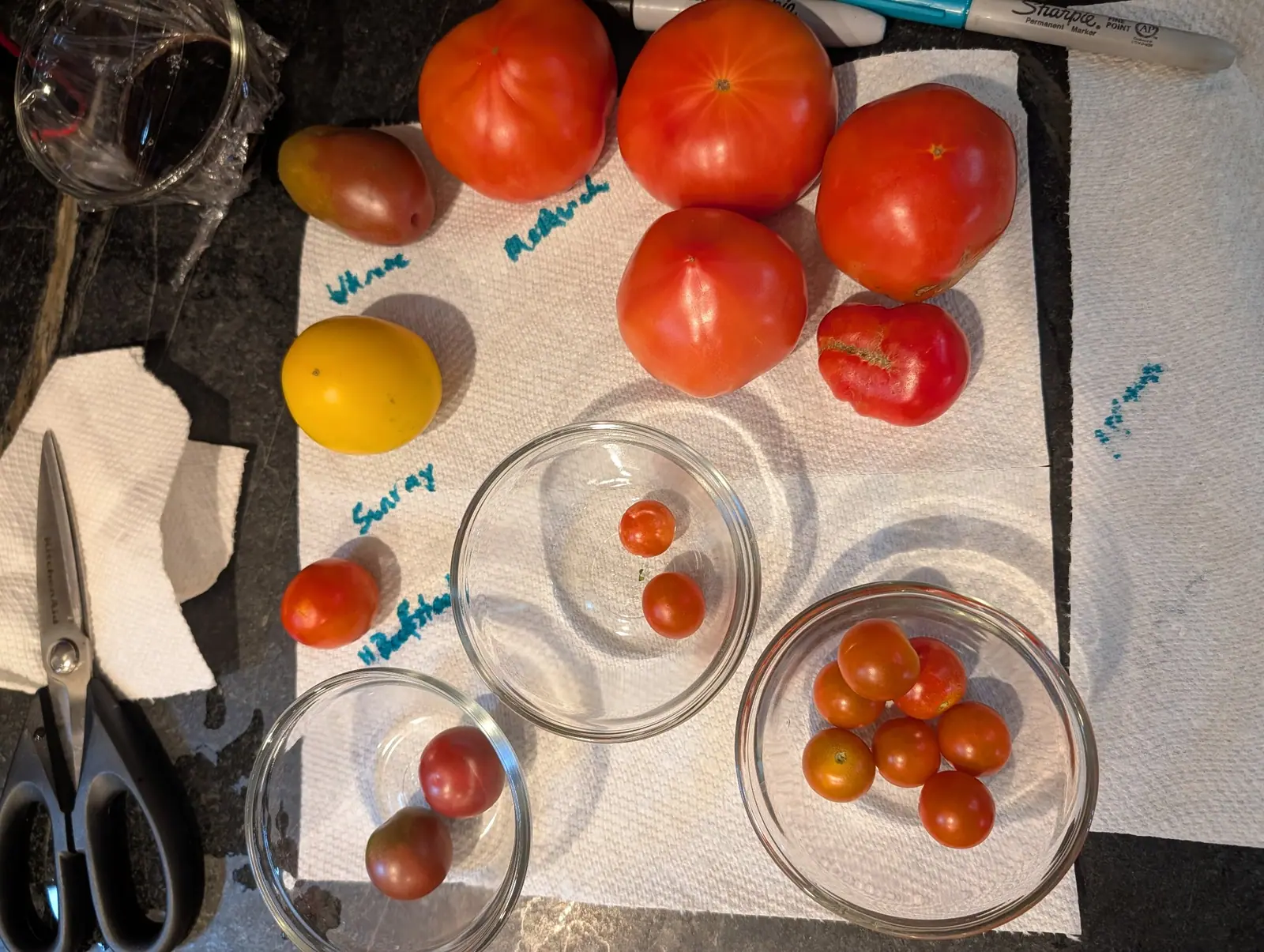 Ten fruits laid out on paper towel like specimens on 5 August, a line of handwriting beside each one, one of them split across the shoulder by a wide healed tan scar — under a hard low light that throws a long shadow off every fruit and bowl.