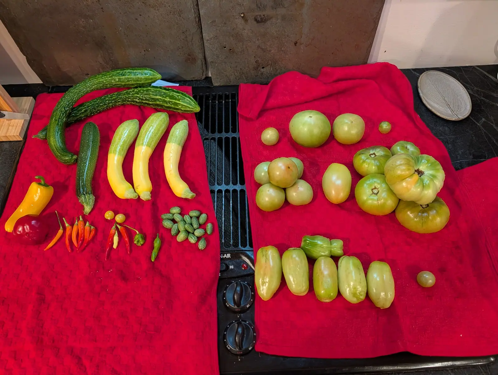 A whole day's picking spread over two scarlet towels on 5 August, everything colored on the left and on the right nothing but green, the largest of those fluted into deep vertical lobes and paled to cream. Flat indoor light, shadows falling down and right.