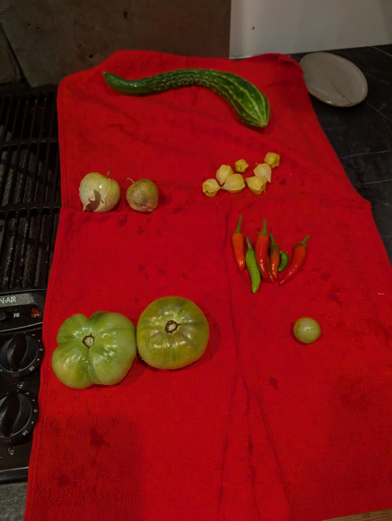 A small picking on a red towel on 6 August with six papery straw-colored husks scattered through it, most split wide and emptied, two still shut into little lanterns — beside two green fruits lobed deep at the shoulder and wet from washing.
