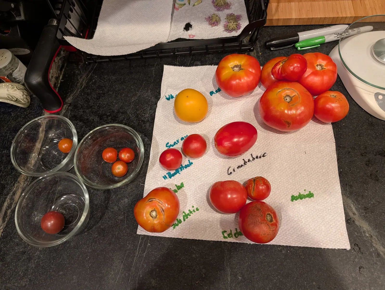 Thirteen fruits set out on a printed paper towel on 6 August, a short line of teal or black handwriting beside each one; the small green sprigs running between them are printed on the paper rather than written on it. Warm counter light from above.