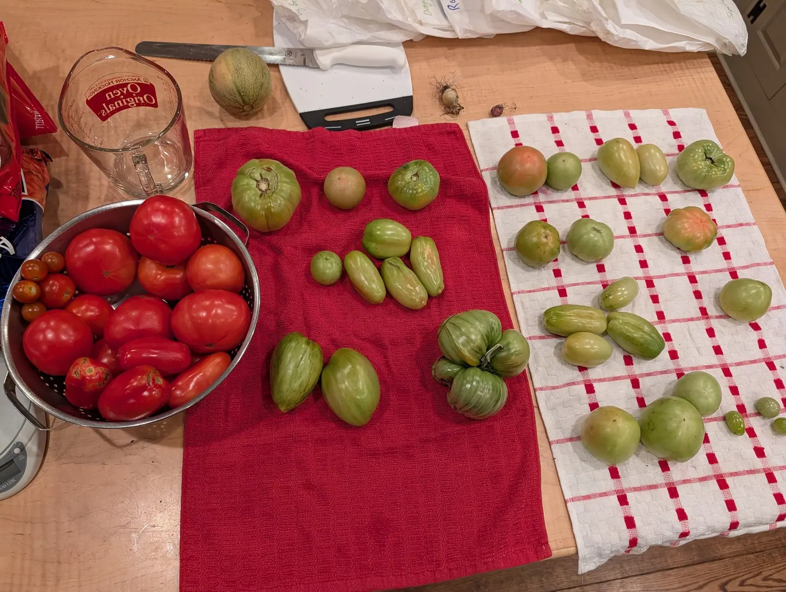 A sorting across a maple island on 8 August: the ripe fruit heaped into a stainless colander at the left, the green laid out in rows on two towels beside it — among them two ovals boldly banded in dark stripes and one built from several fused lobes.