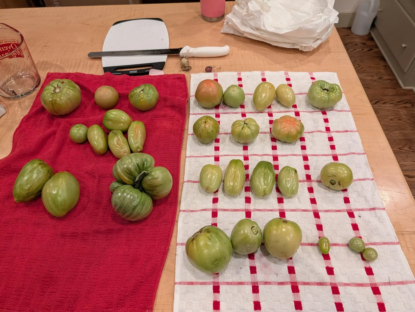 Twenty-nine green fruits and nothing else, laid across two towels on a maple island on 8 August; the odd one is built from four fat fused lobes around a dried stem stub standing upright, a pink-tan blush just creeping along its lower edges.