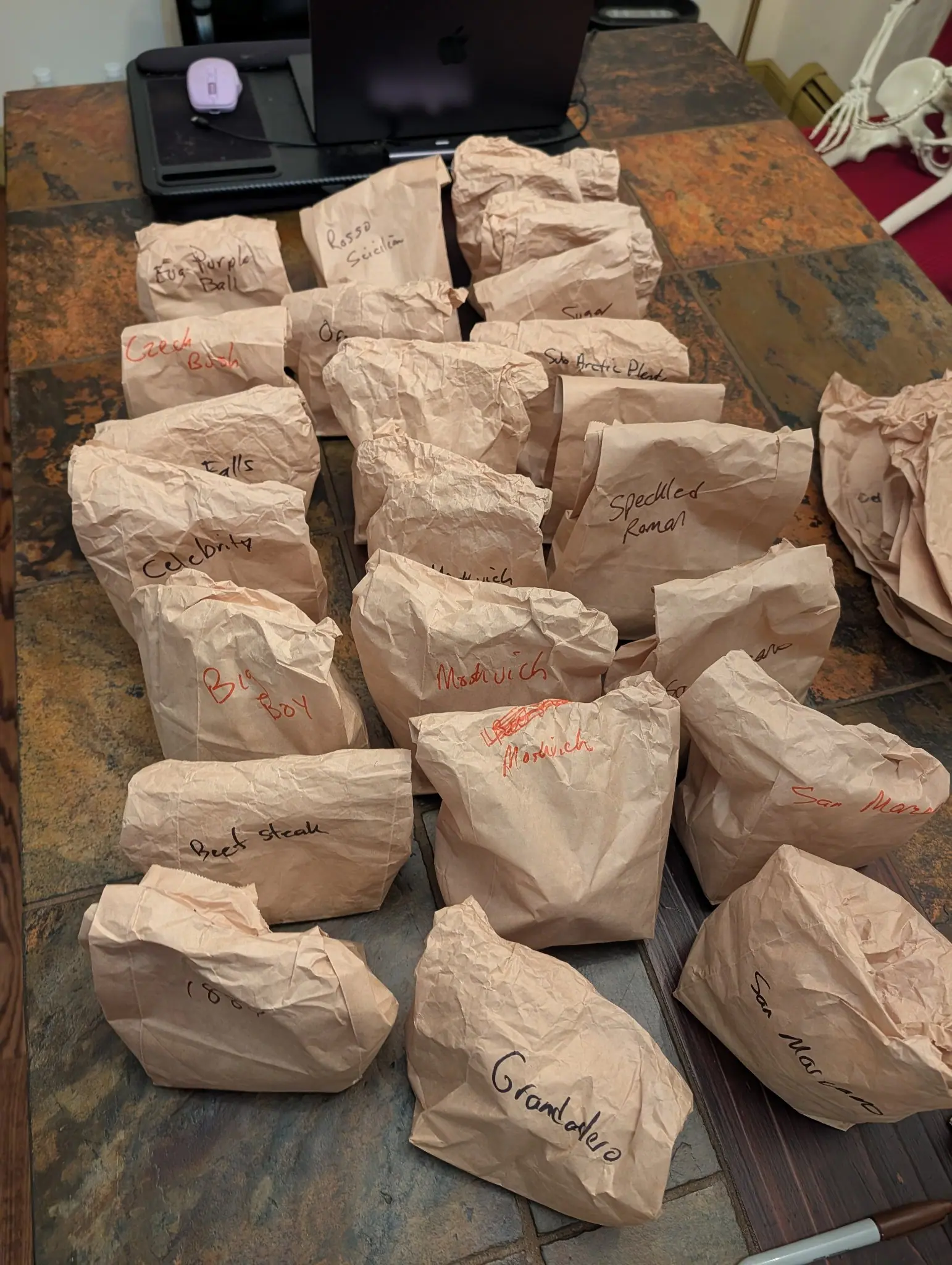 About two dozen brown paper bags stand crowded and rolled shut across a slate tabletop on 8 August, each written across the front in fat marker and one relabeled over a scribbled-out first try, the row leaning at every angle so shadows pool between them.