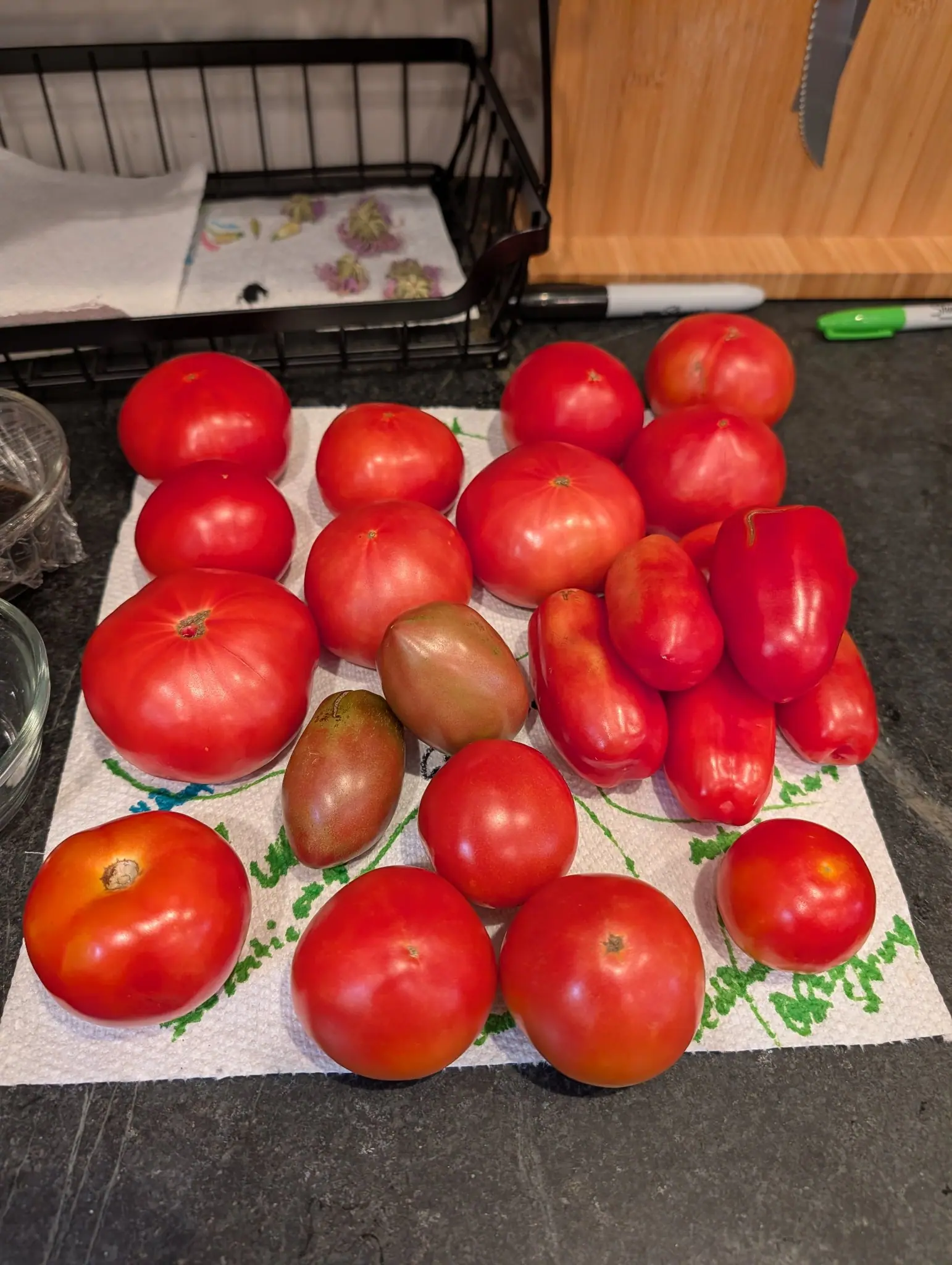 Twenty-two ripe fruits crowded onto a printed paper towel on 9 August, most of them an even deep red — except a pair at the center left that are not red at all but dusky rose-brown with a bronze-green cast and a soft metallic sheen.