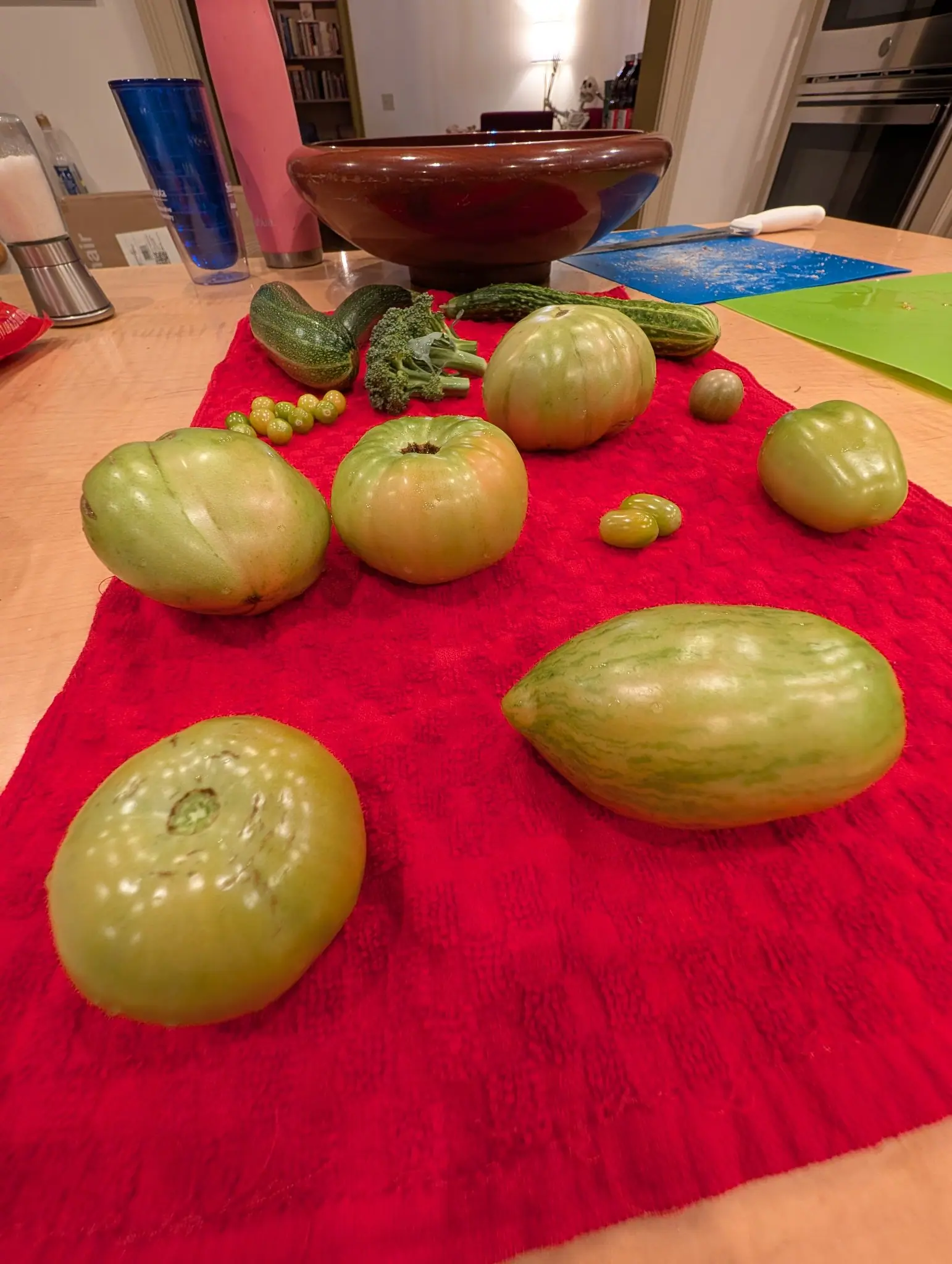 Shot low down a scarlet towel on 9 August so the two front fruits loom and the kitchen behind goes soft: the flattened one is pitted across its gold-green shoulder with shallow pale dimples, the one beside it marbled in dark streaks washing to cream.