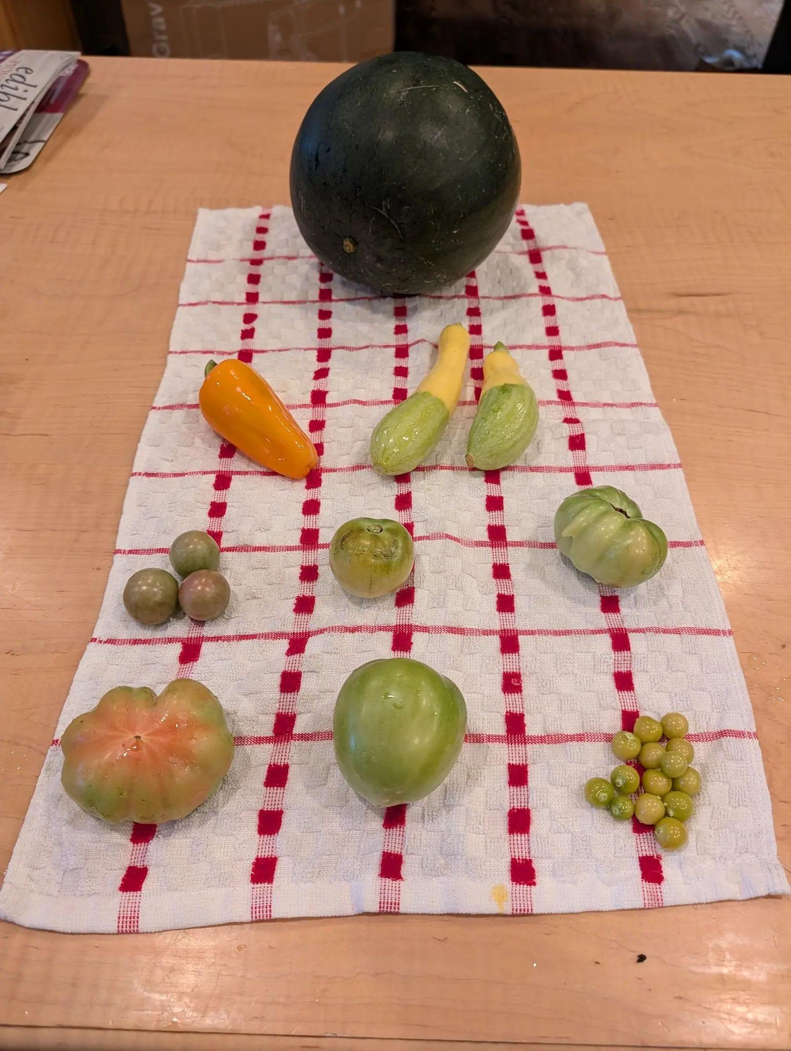Laid out with space around every item on a red-checked towel on 10 August, a picking headed by one round rind in near-black green with no stripe on it at all — matte, dulled, scratched pale, a short dry stem stub still standing on its crown.