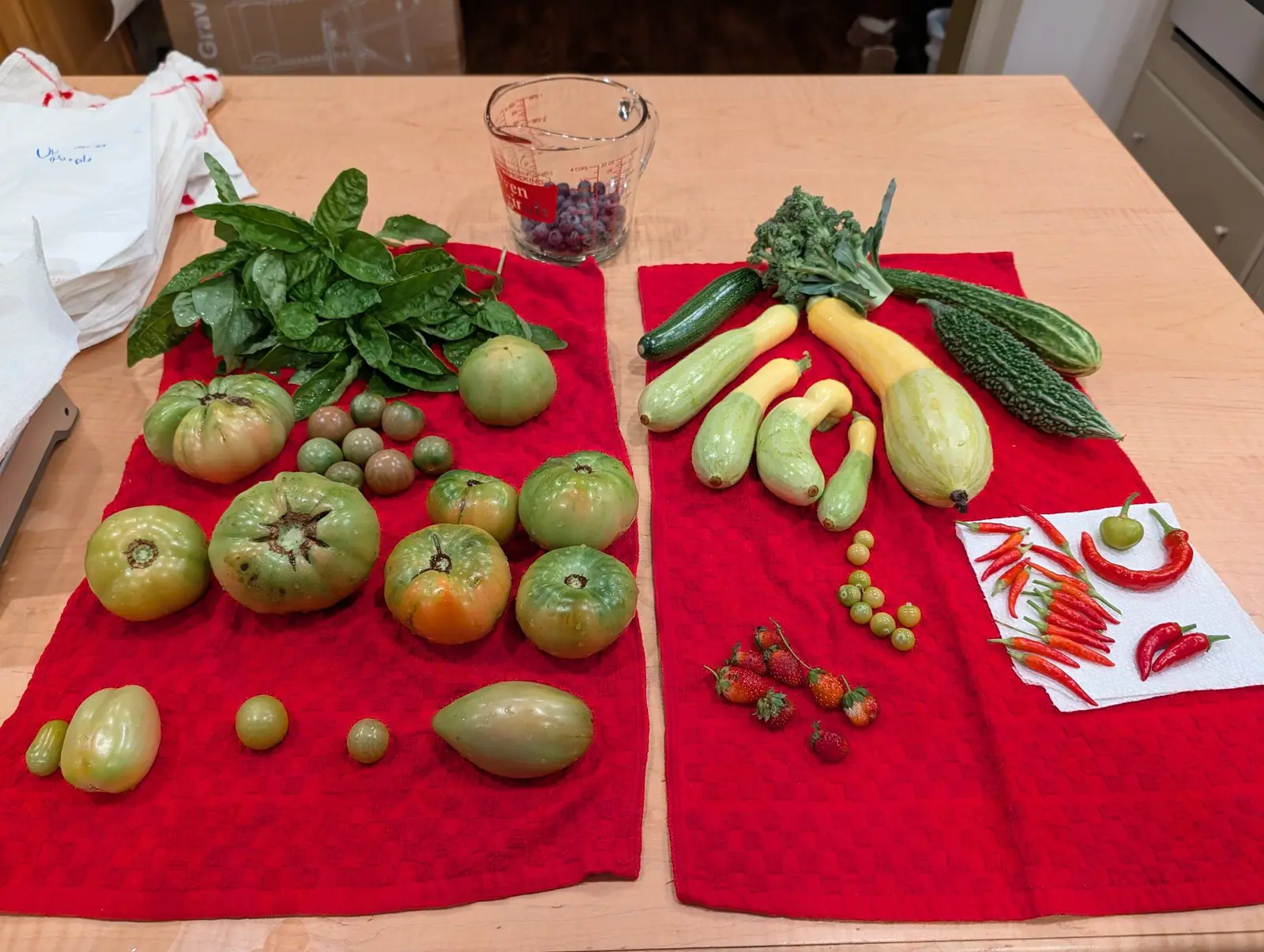 A large picking over two scarlet towels on 11 August, everything freshly washed and beaded — at its middle a cluster of ten small round fruits, no two the same color, running gray-green through olive-cream to dusky rose-brown under a matte bloom.