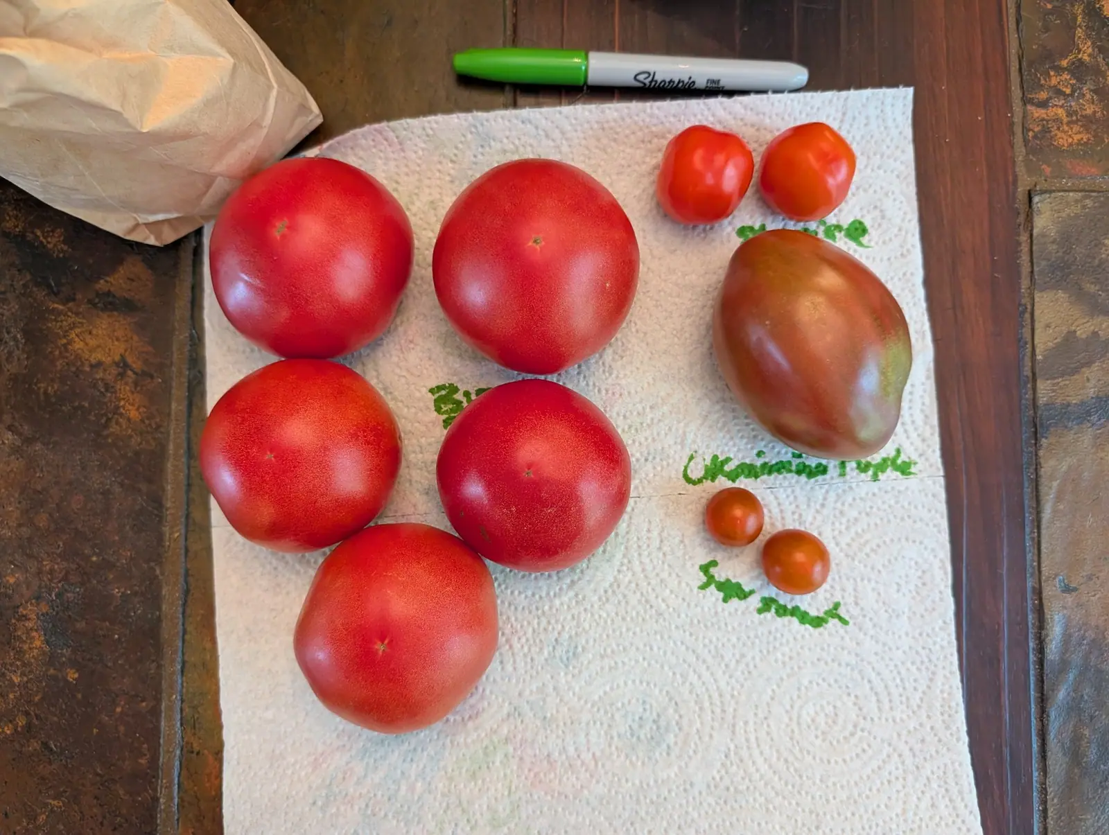 Ten fruits on a paper towel over rust-and-ochre slate on 12 August, five of them a deep rose-red under a dusty matte bloom; the odd one is elongated, dusky rose-brown shading to olive-bronze with a patch of true green low on one flank.