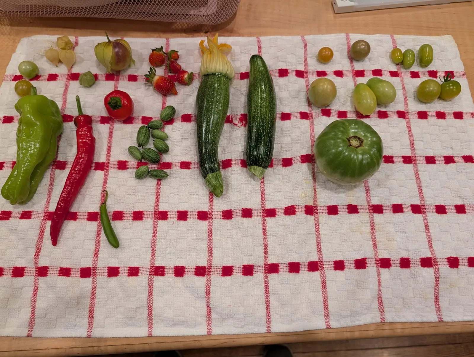 A small picking spaced out on a red-gridded towel on 13 August, one dark green fruit still carrying its blossom at the tip — a flared golden trumpet of five pointed lobes, wide open and clearly ribbed — with most of the picking still wet.