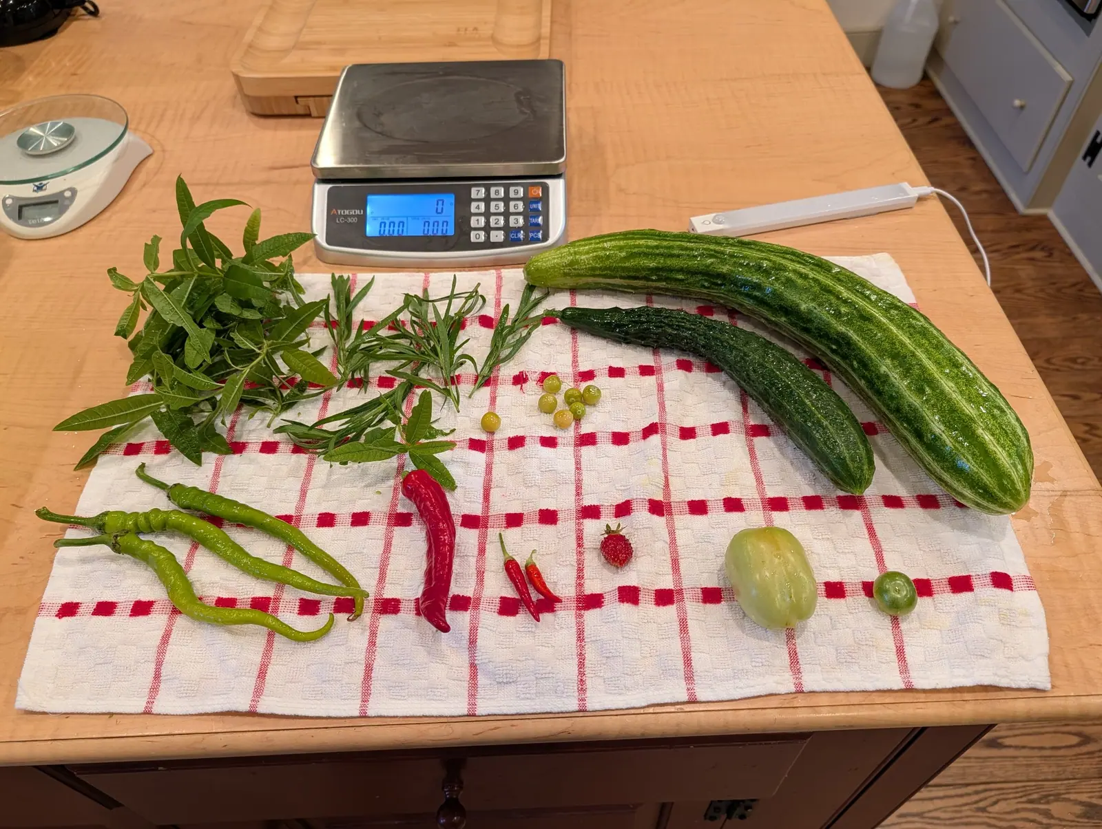 A 14 August picking set out in rows on a red-plaid towel: one long pale ribbed fruit arced beside a shorter, darker one warted along every ridge, and seven round berries with a single straggler apart from the six. The counting scale behind them stands empty.
