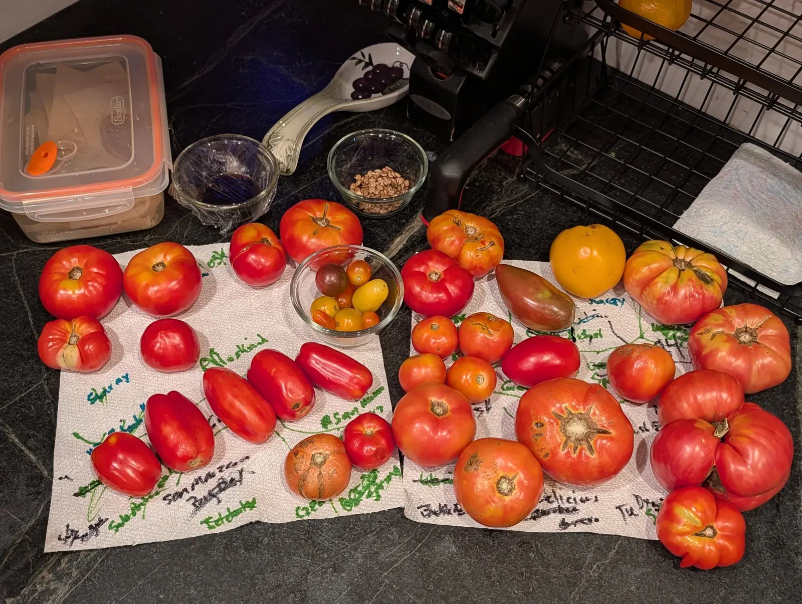 A 15 August sorting spread over two sheets of paper towel, every group annotated in marker with a hand-drawn line running to the fruit it points at. Thirty-odd fruits run scarlet through orange to one flat golden yellow, with small pale seeds heaped in a bowl.