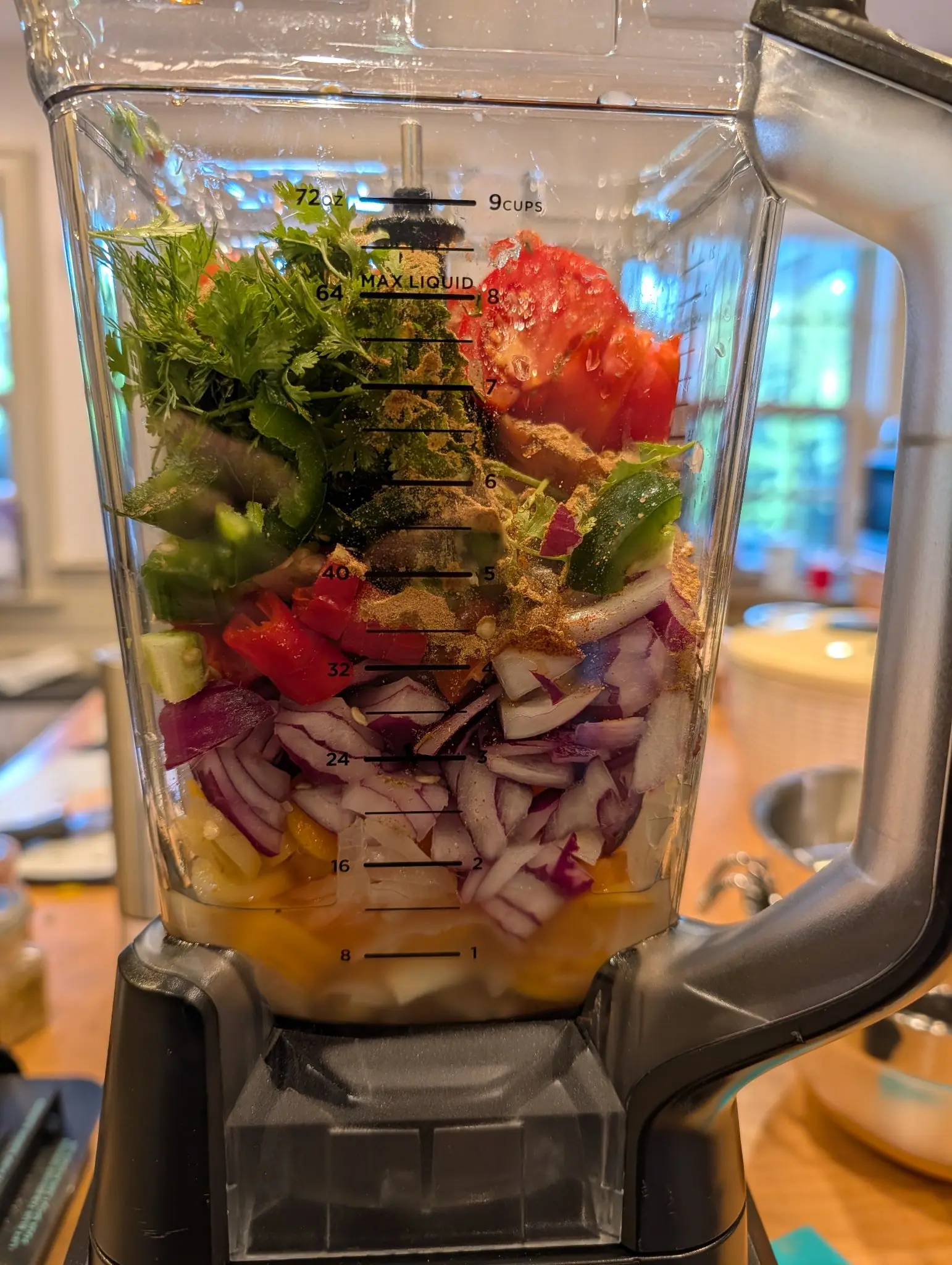 A blender jar packed in visible strata on 15 August: pale gold at the base, a seam of purple-edged rings, scarlet then green squares, and a feathery green mass on top, with tan spice shaken over the middle in drifts. Two windows stand bright behind it.