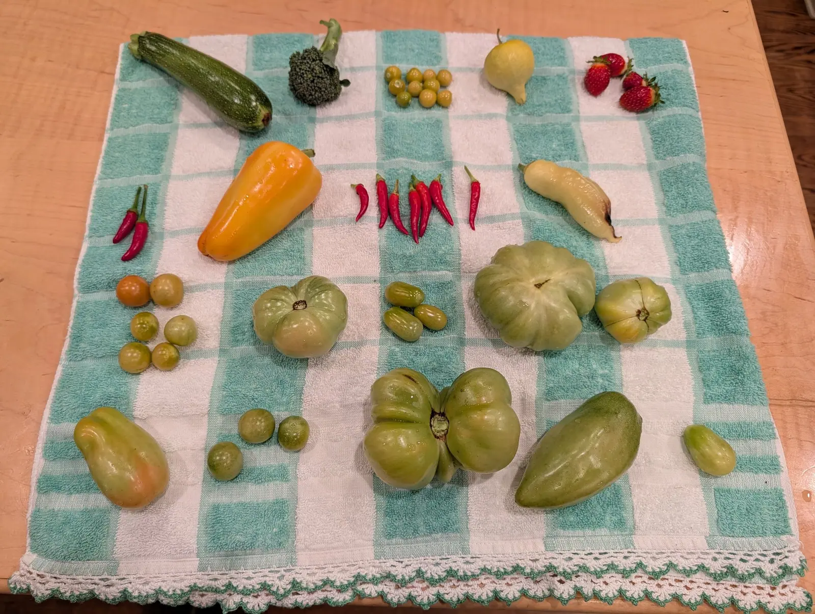Almost everything on this 15 August towel is still green — one pale sea-green fruit fluted into deep radiating ribs like a gear, another cracked in a star out from its stem scar — and the only color is a pair of magenta pods still joined at one shared stem.