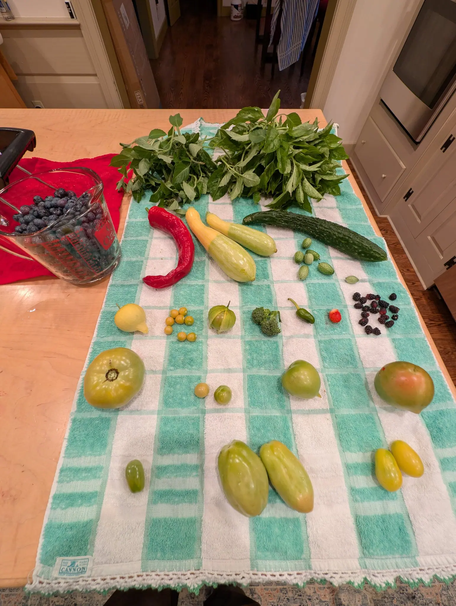 The 17 August harvest runs the length of the kitchen island, receding in rows: a glass pitcher brimful of dusty-blue berries at the far end, one fruit still shut in a papery husk beginning to split at the tip. An open doorway lies beyond.