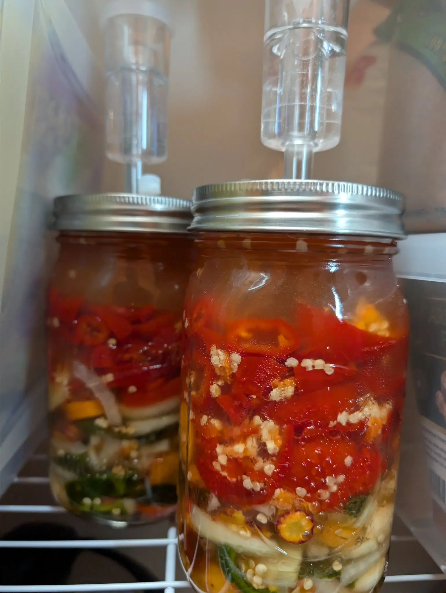 Two jars ferment on a wire shelf on 19 August, water standing in the chambers of the airlocks through their lids. The near one layers scarlet through gold to pale translucent slices in cloudy amber brine, fine bubbles clinging to the glass all the way down.