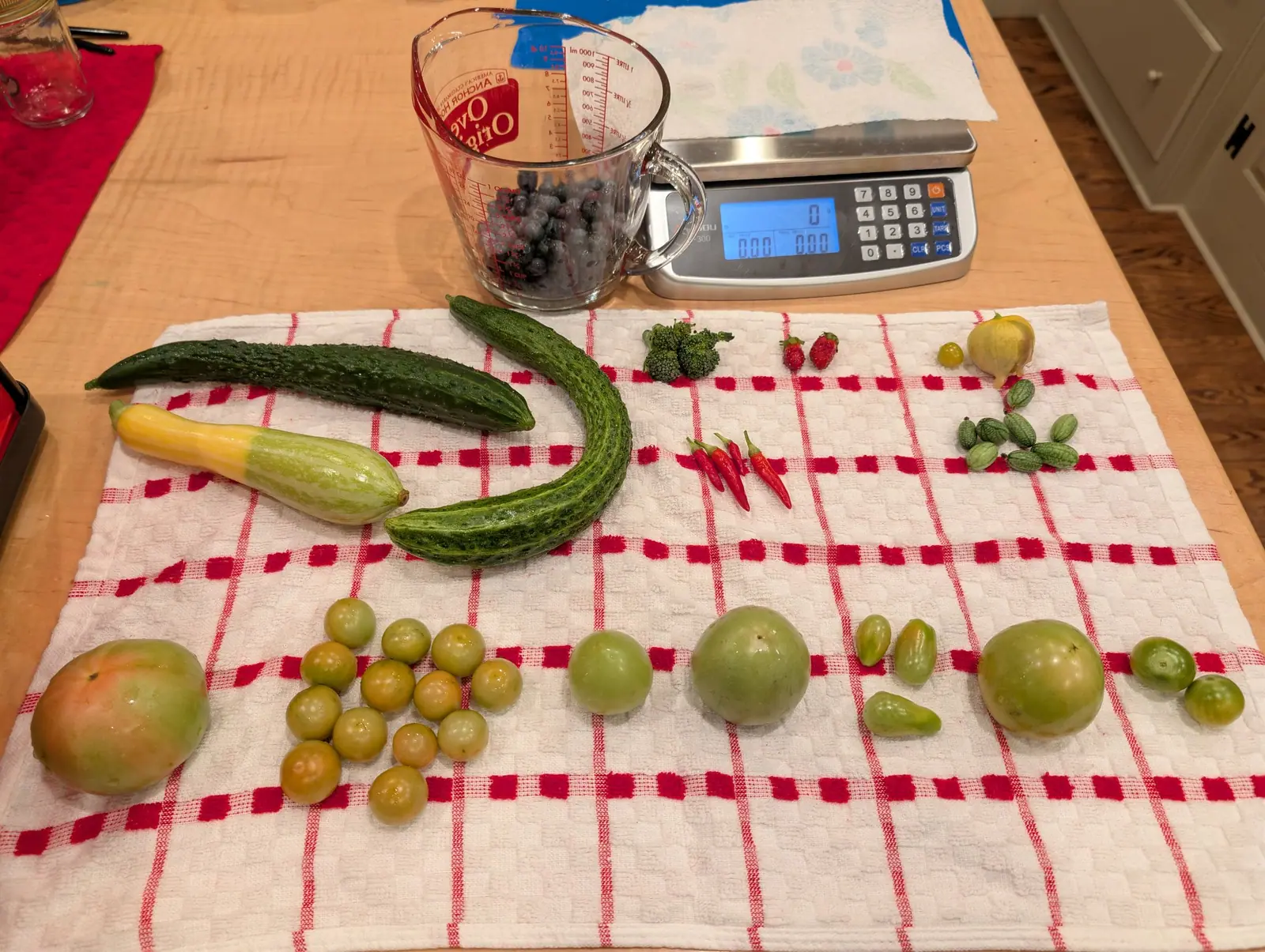 Five slim scarlet pods laid in a fan on 22 August with their green stems gathered together, the brightest thing on a plaid towel otherwise running pale green to tan. A glass pitcher stands two-thirds full of dusty-blue berries behind them.