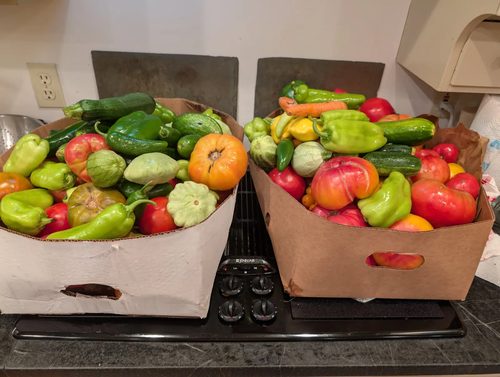 Two boxes heaped above their rims on 22 August, one running green and the other red and gold, a fruit pressed against the hand-hole cut in each panel. In the right-hand box one fruit shades pink-red through orange to gold, a healed corky crack down its length.