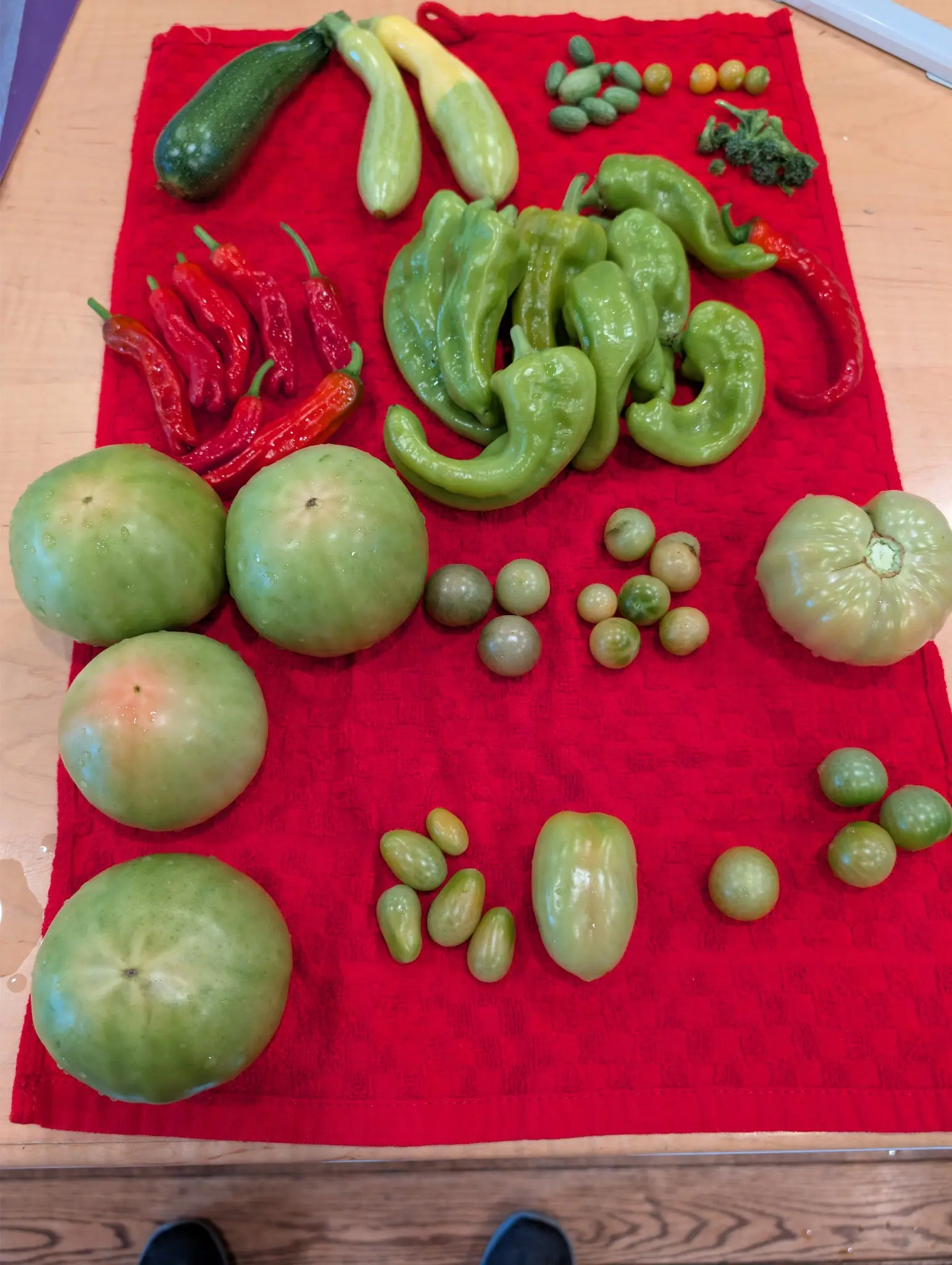 A 25 August picking on a bright red towel that throws every green forward: a mound of pale crumpled fruits at the center, a fan of wrinkled red ones at the left with one still orange at the shoulder. The toes of two shoes show past the table edge.