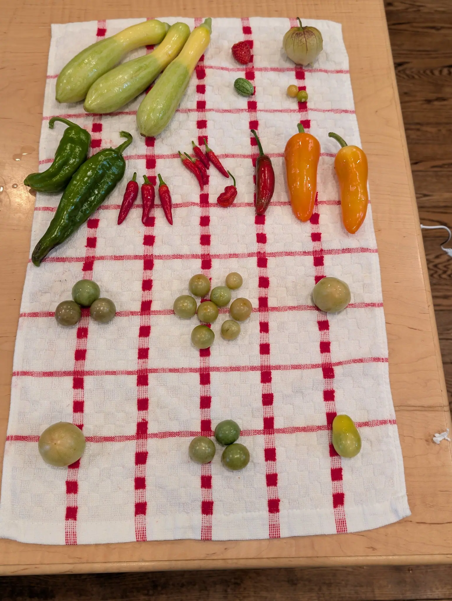 A day's picking sorted into rows on a checked kitchen towel on 25 August, flat light from the left leaving a wet sheen on nearly every fruit — and at the far right one inflated papery husk, veined dark purple down each rib and split open at the base.