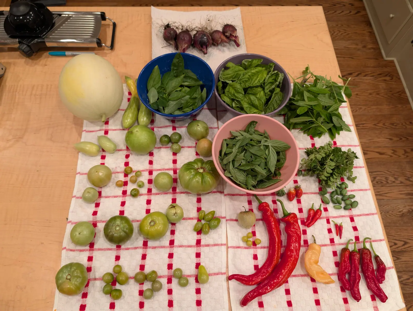 The table barely holding a 27 August picking — six purple-red bulbs in a row, roots combed out one way and necks still soft and folded, three bowls of cut leaves in cobalt, lavender and pink beside them, and green fruit scattered over everything else.