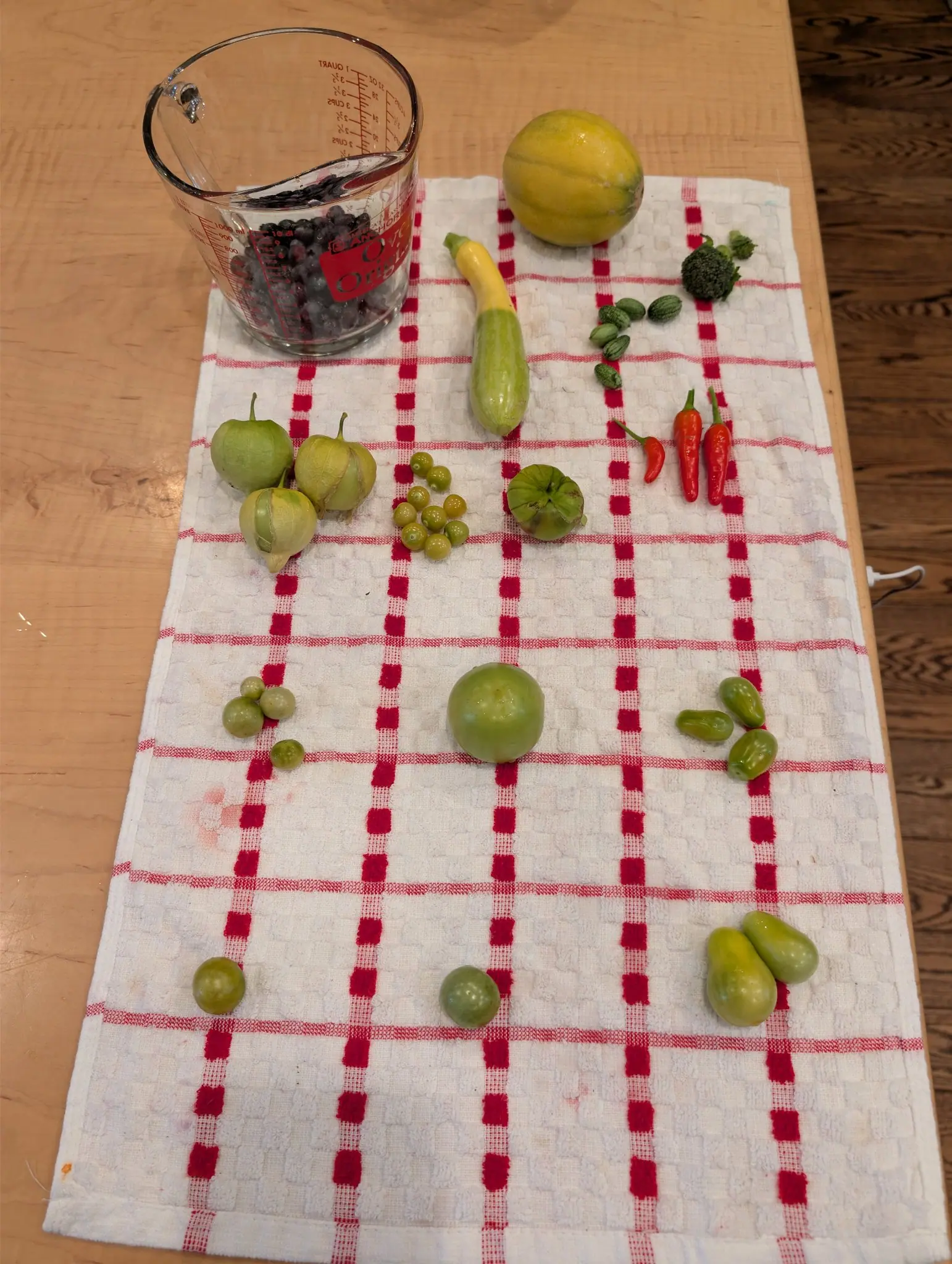 A glass measuring jug dewed with condensation on 28 August, three quarters full of small dark blue-black berries under a dusty pale bloom — and below it a towel barely covered, four papery husks and a thin scatter of green fruit running down its length.