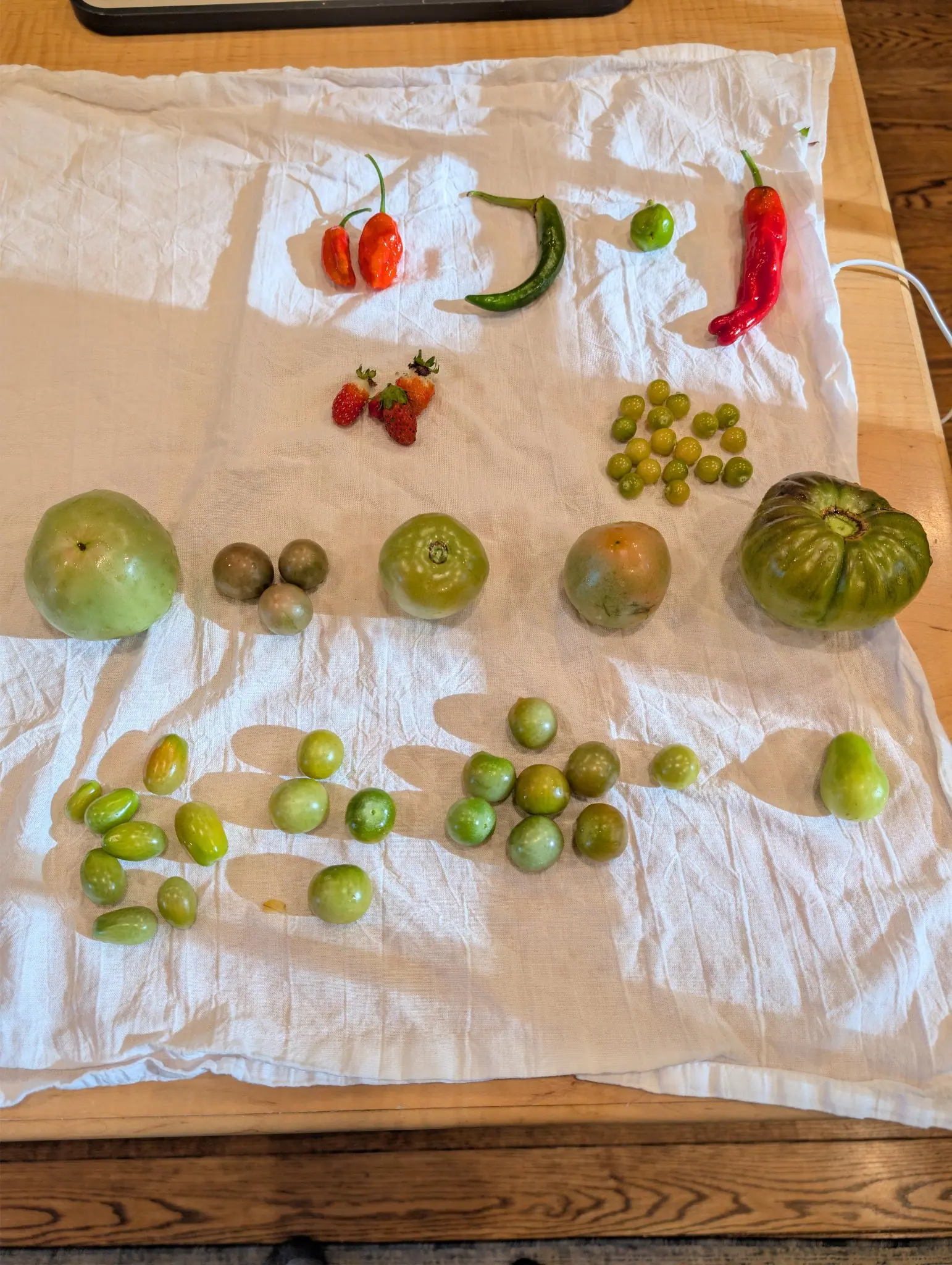 Hard light from the upper left on 31 August, throwing a long soft shadow off every single item on the crumpled cloth — a patch of twenty-two berries running pale green through amber, and four red fruits with their calyxes still on.