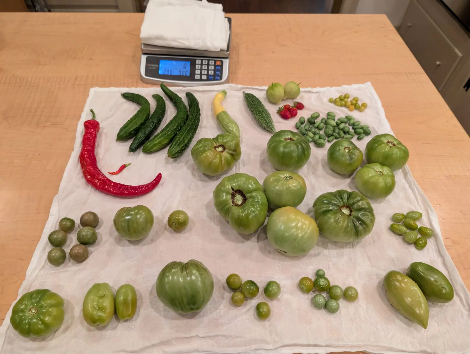 A big 1 September picking sorted out across a white cloth, the green fruit grouped by size and shape and a heap of forty small ovals striped light and dark beside them — the bench scale above it standing idle, nothing on its pan but a folded cloth.