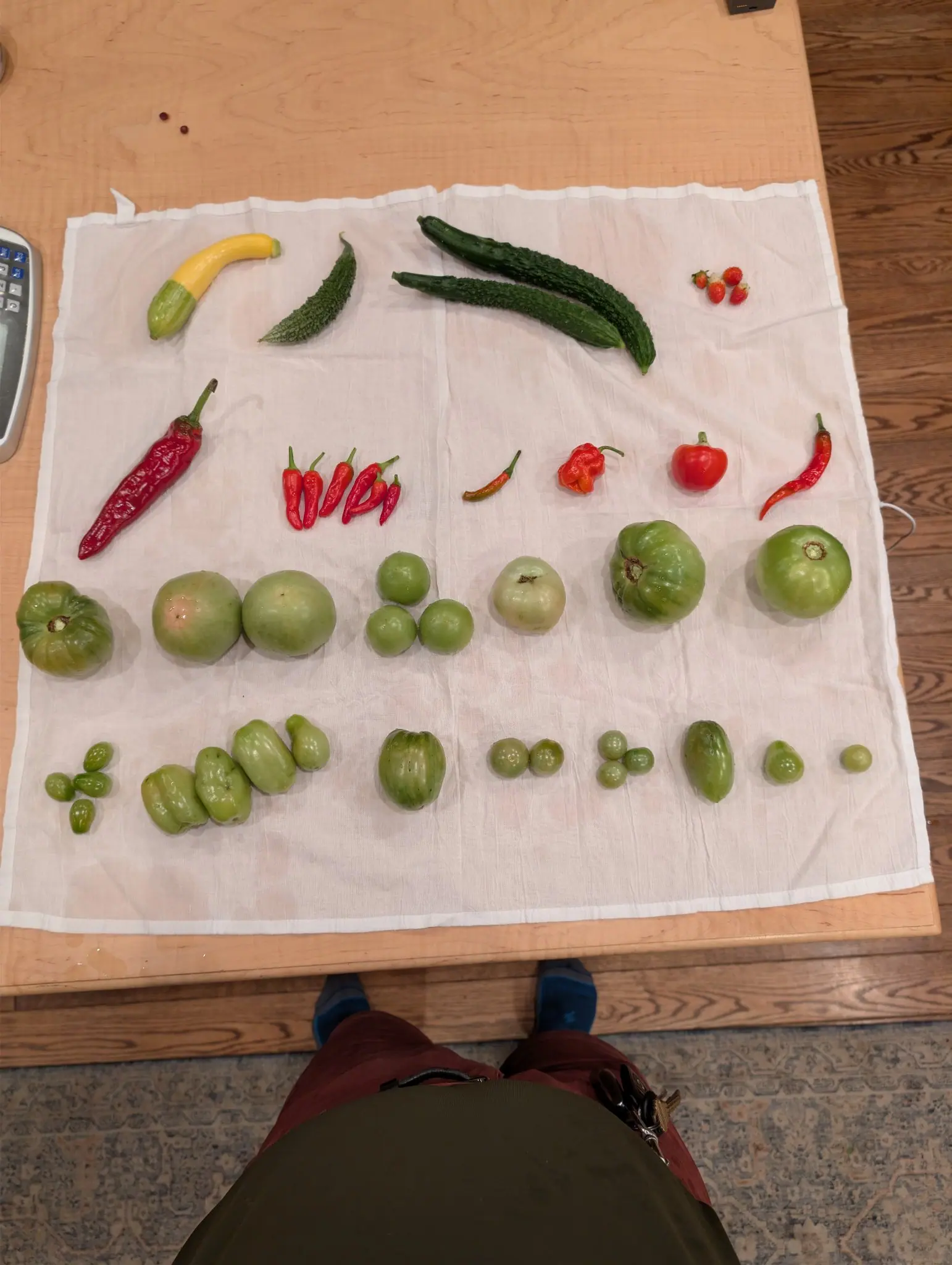 Shot straight down over the edge of the table on 5 September with the photographer standing in the frame — feet in blue socks on the rug below, no face — and the picking laid out in four long rows on the cloth beneath.