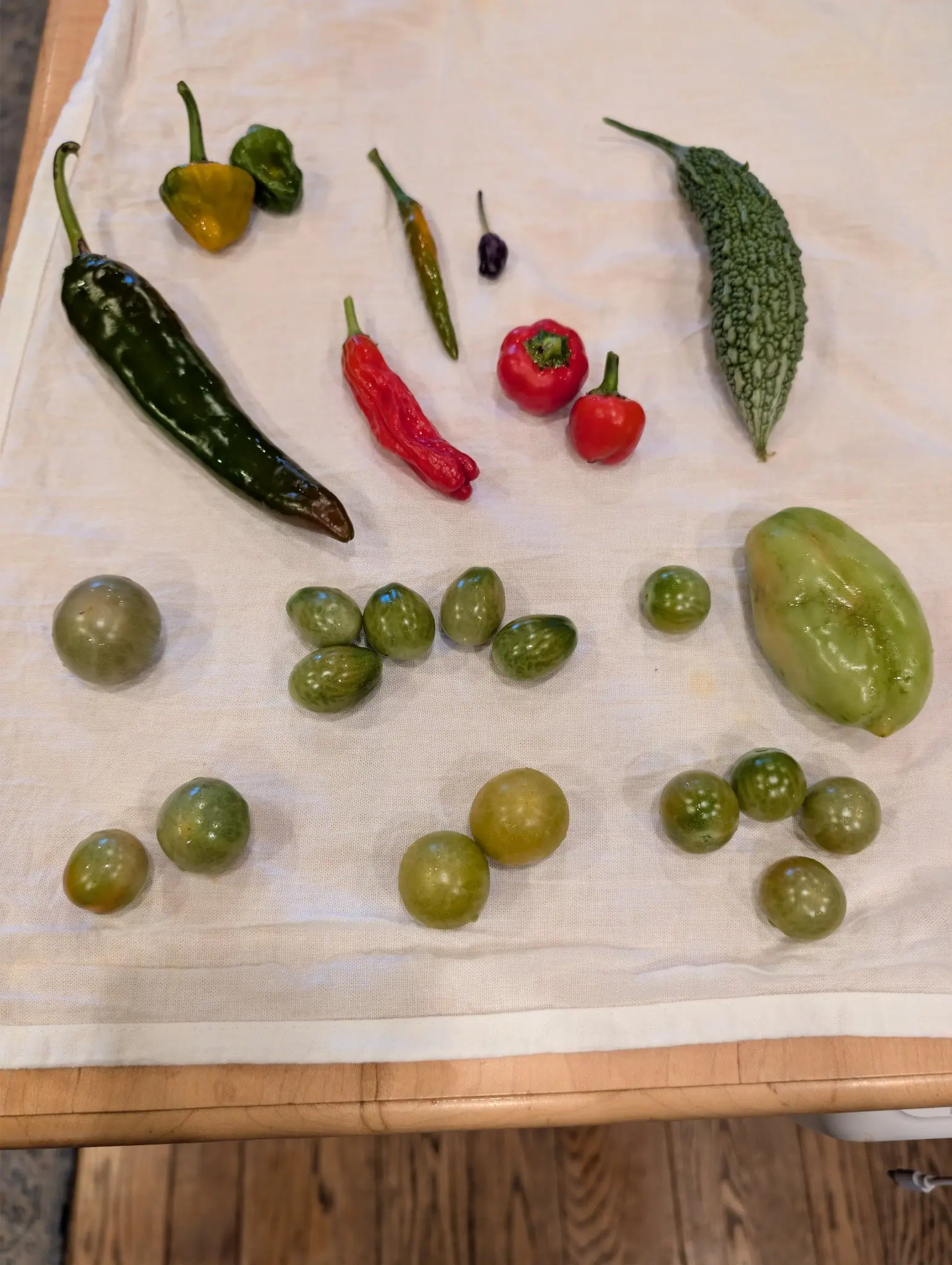 A mixed indoor still life on 12 September: nine round fruits the size of marbles up to golf balls line the bottom edge, some plain green, some blushing yellow-amber and speckled with pale dots. Soft even light from above left glosses every wet-looking skin.