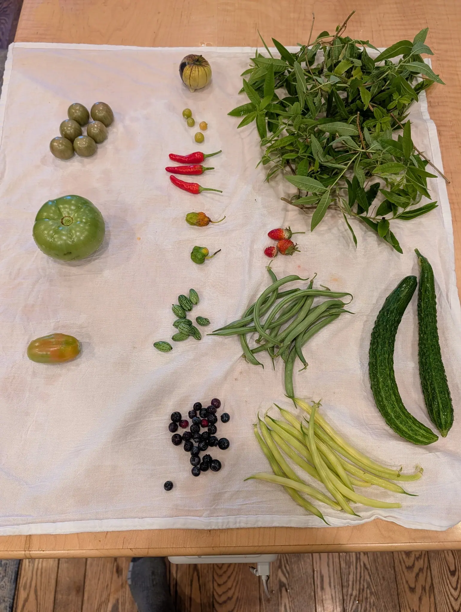 An indoor harvest laid out on white cloth on 14 September, sorted into loose heaps: slender green pods beside wider, flatter cream-yellow ones, with dark bloom-dusted berries scattered nearby. Soft even indoor light, no hard shadows.