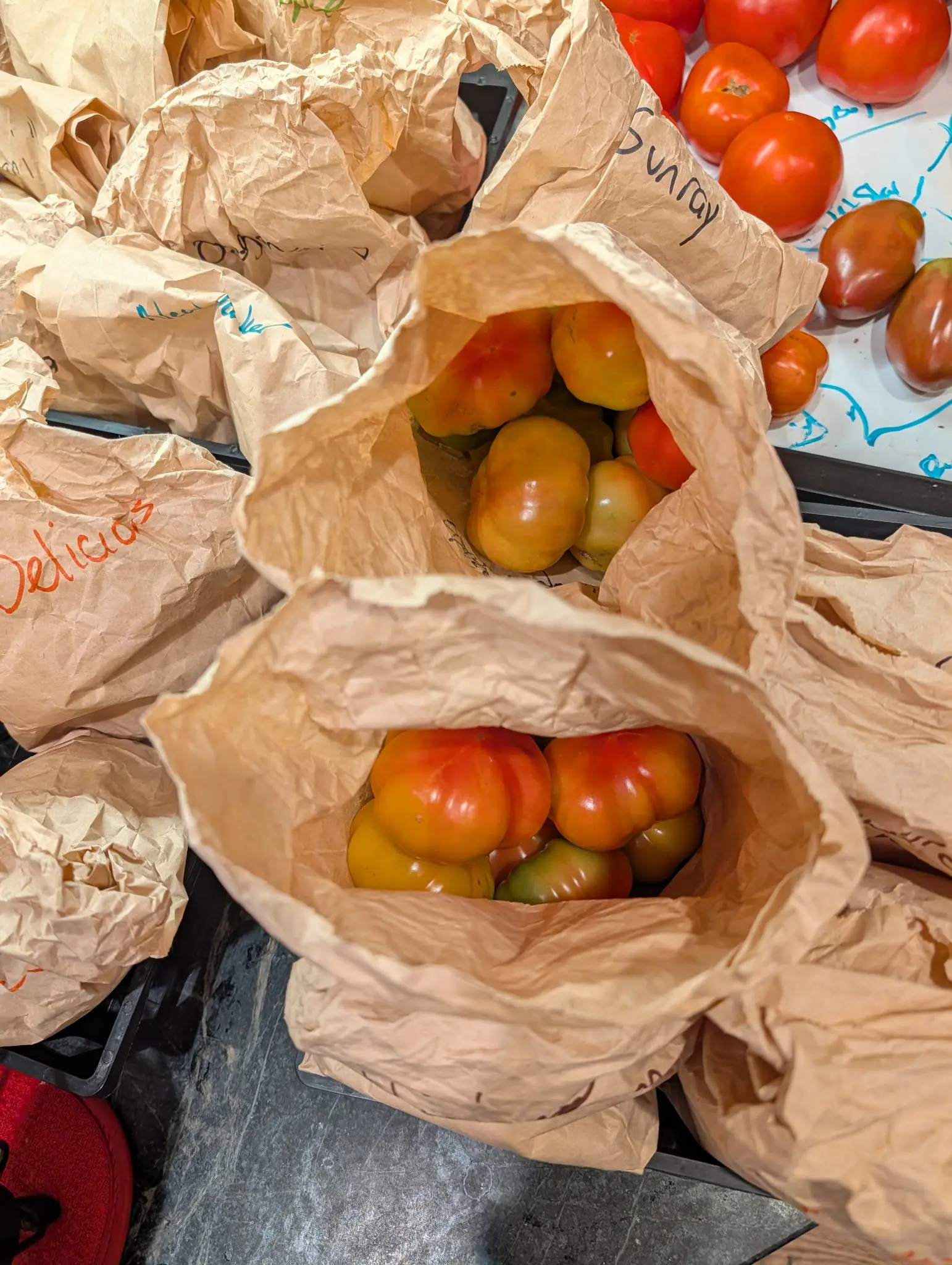 Rosso Sicilian tomatoes on 14 September: the open kraft bag in the foreground holds half a dozen deeply ribbed fruit with puckered shoulders, the two front ones furthest along from green through gold to orange-red, under flat overhead light.