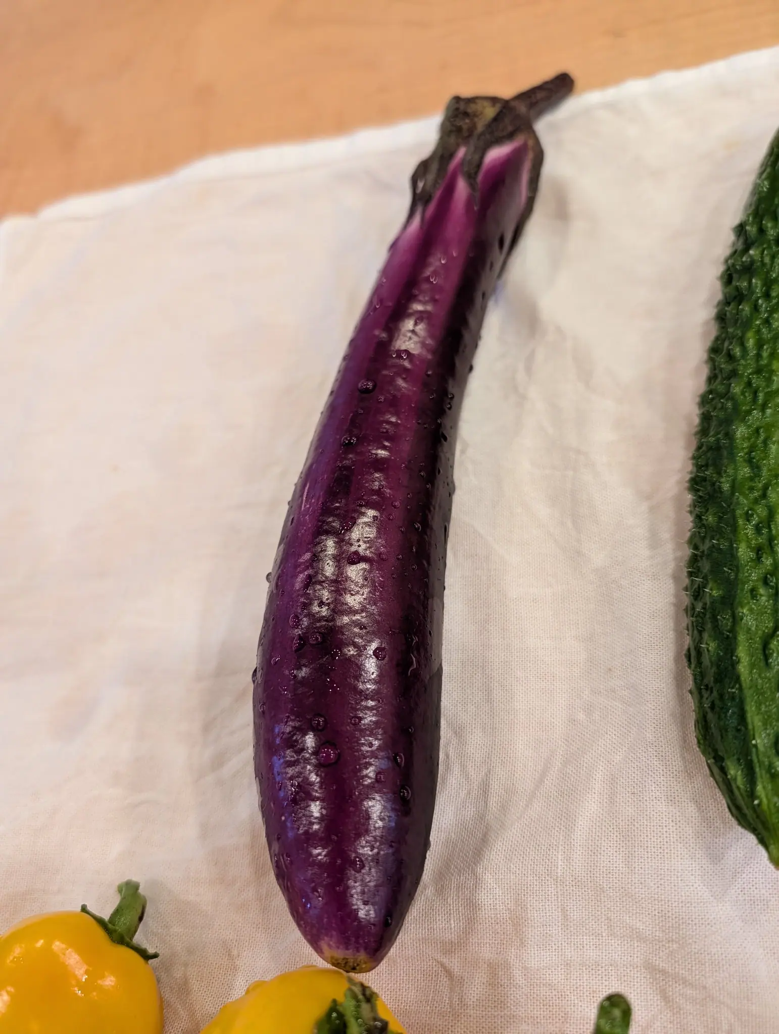 Ping Tung Long eggplant on 15 September, a single glossy purple-magenta fruit still beaded with water, its shoulder split under a dry calyx to show dense white flesh. Soft indoor light on a white cloth.