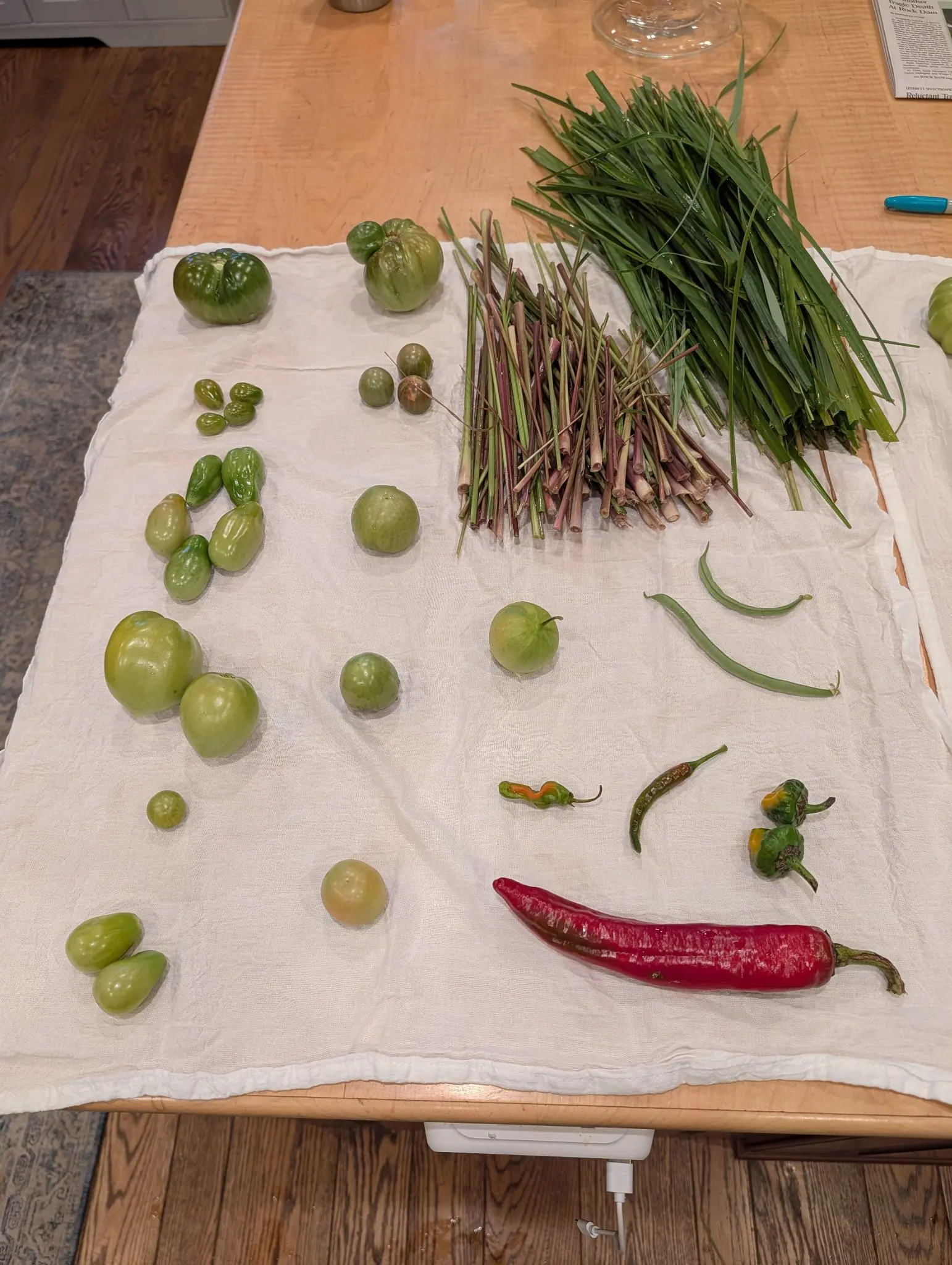 An indoor spread of green fruit laid out on white gauze over a pale maple table on 15 September, with a single round one at bottom center just blushing yellow-tan while the rest stay green; warm indoor light only, no daylight.