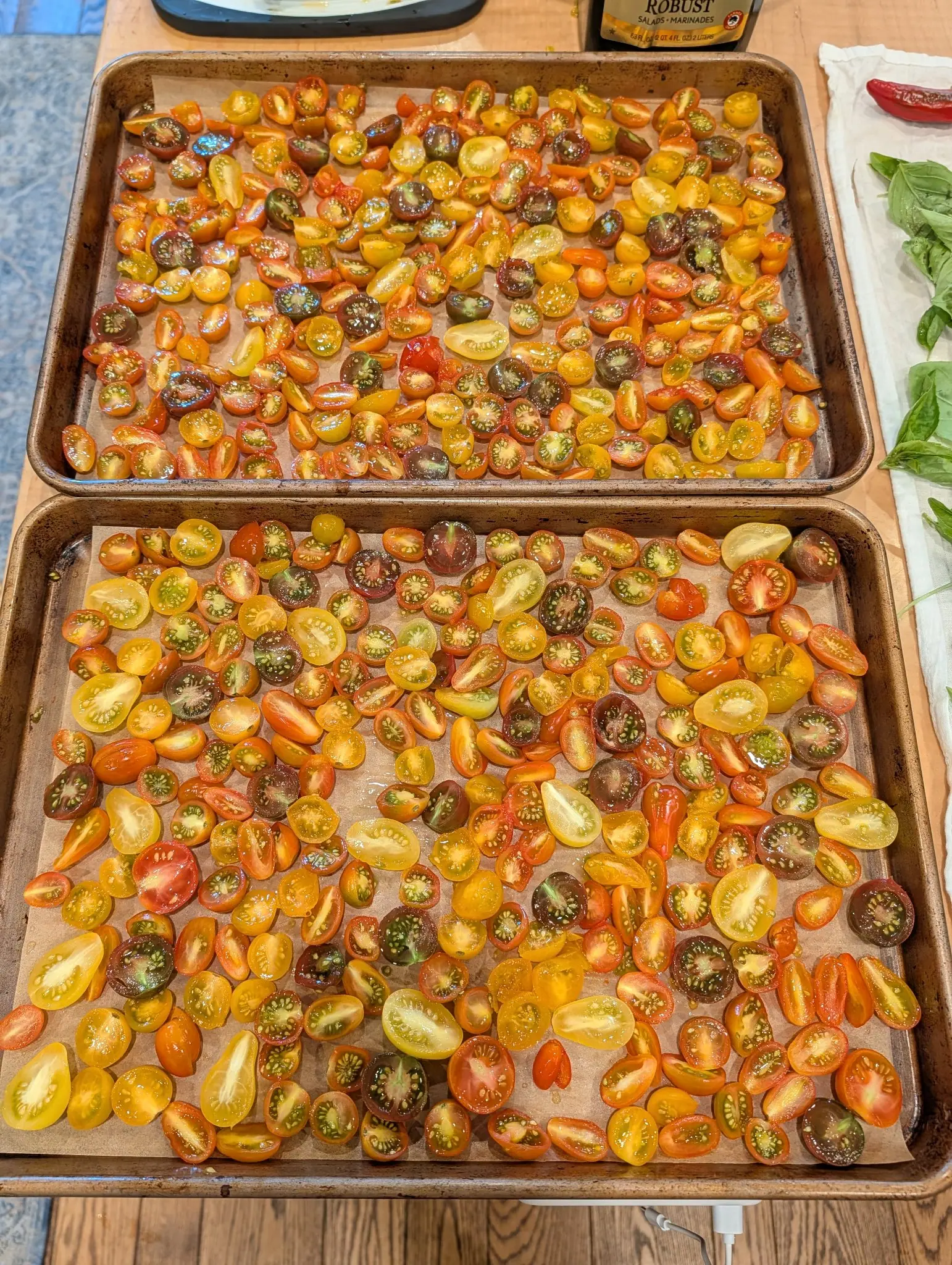 Two parchment-lined sheet pans on 16 September, each covered edge to edge in a single layer of halved cherry-sized fruits set cut-side up, from pale lemon to scarlet to brown-maroon, cut faces slick with oil under soft indoor light.