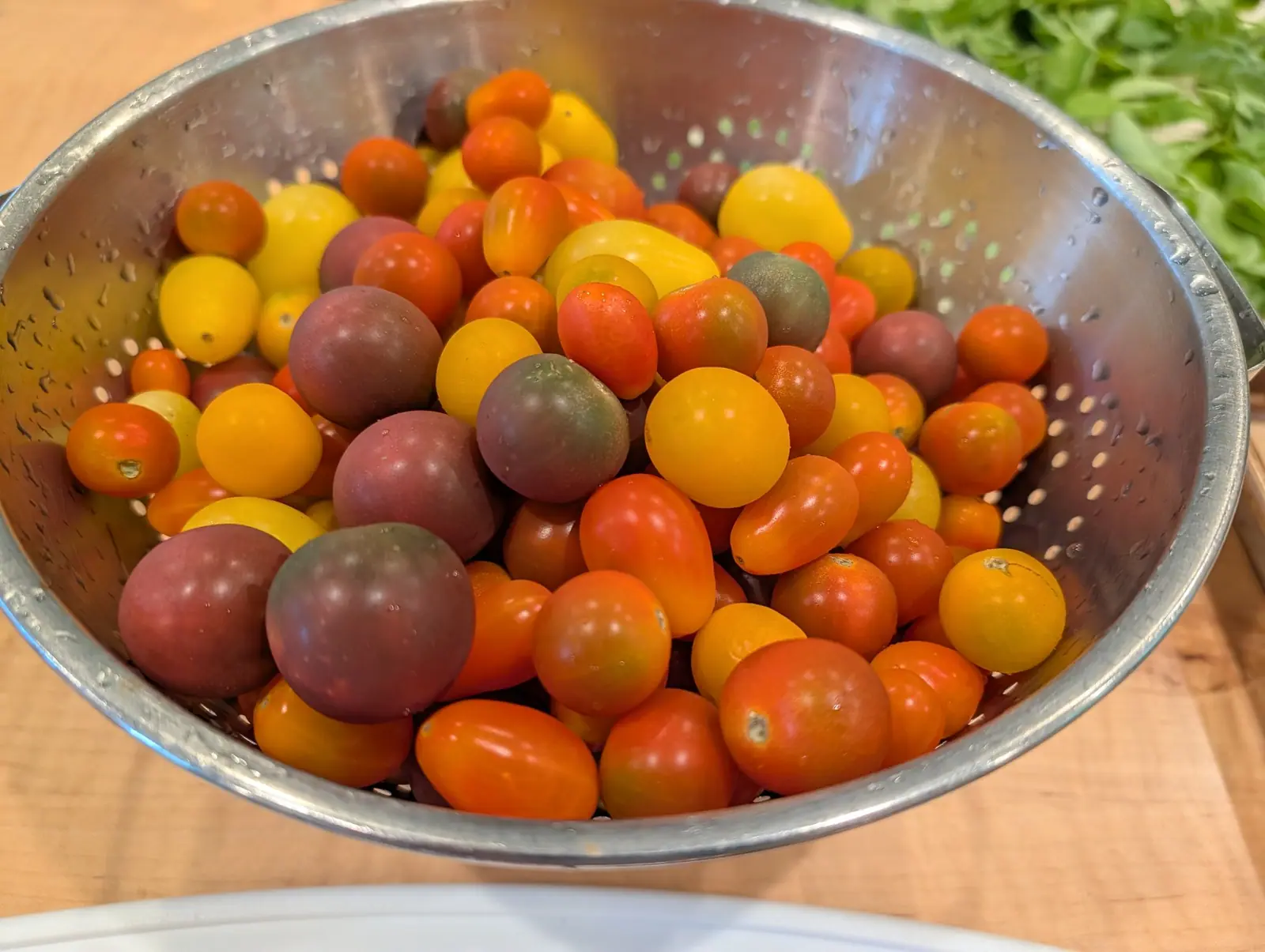 Well over a hundred small fruits, washed and heaped in a galvanized colander on 16 September, run from lemon yellow through scarlet to dusky purple-brown, several dark ones still bronze-green at the shoulder. Soft light from the left beads the wet skins.