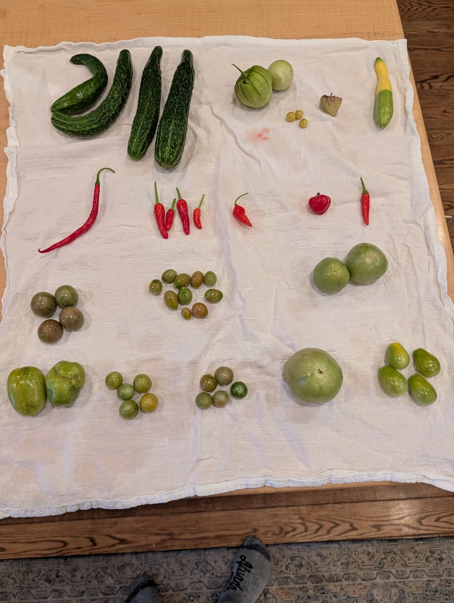 An end-of-season pick laid out in rows on a white flour-sack towel on 19 September, nearly everything still green except five lots of fully red peppers and a cluster of yellow berries the size of peas. Flat indoor light, faint shadows to the lower left.