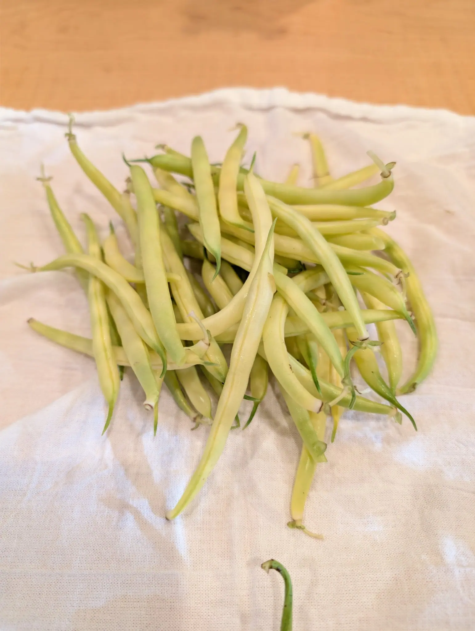 Gold Rush beans on 21 September, a heap of pencil-thin wax pods snapped rather than cut, most still wearing a short woody pedicel and green calyx collar, a few shading green at shoulder and tip. Soft light from the upper left across a rumpled white cloth.
