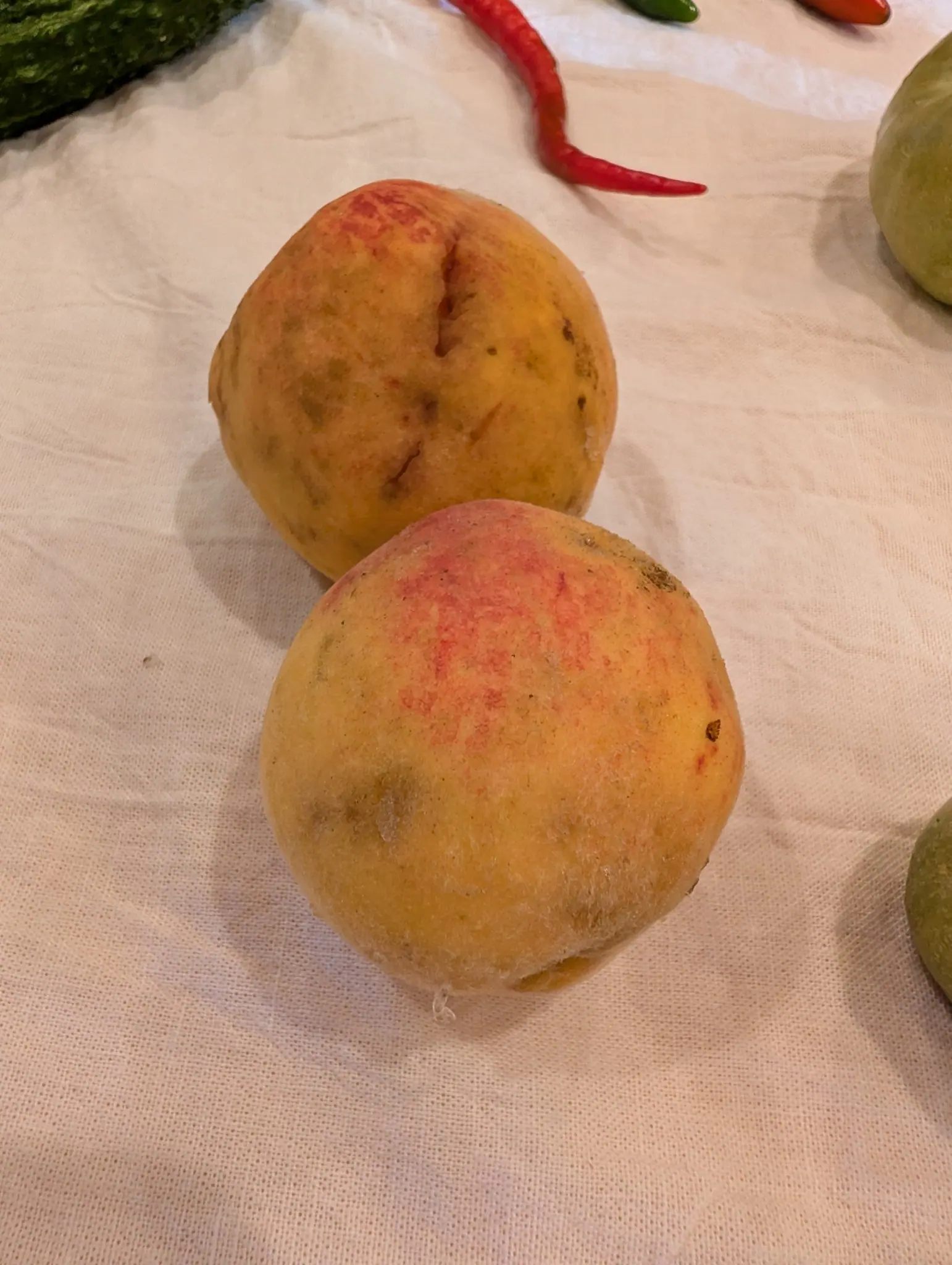 Peaches, variety Peach, on 21 September: two fuzzy fruits side by side, the upper one split by a deep suture cleft running from the stem end down one cheek, the lower stippled pink across the crown. Warm indoor light on woven cotton.