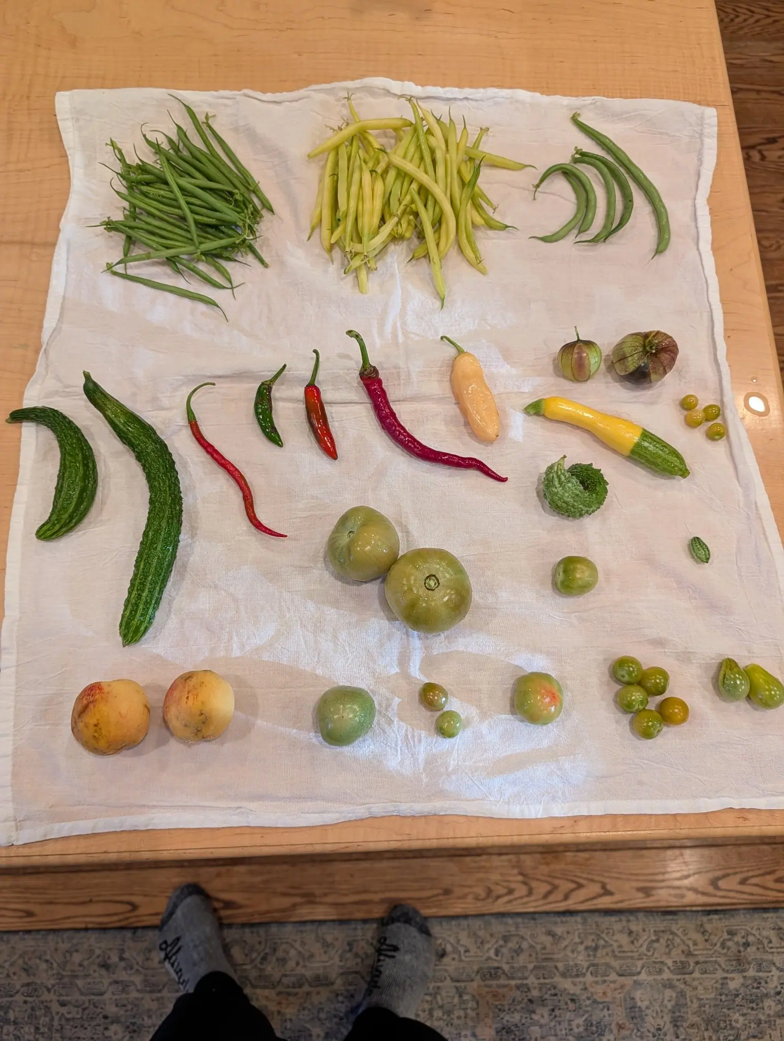 A whole picking lies in rows on white linen on 21 September, slender green and yellow pods still tipped with dried blossoms at one end, husked fruits in split papery wrappers, one green, one purple-brown. Soft ceiling light, everything damp.
