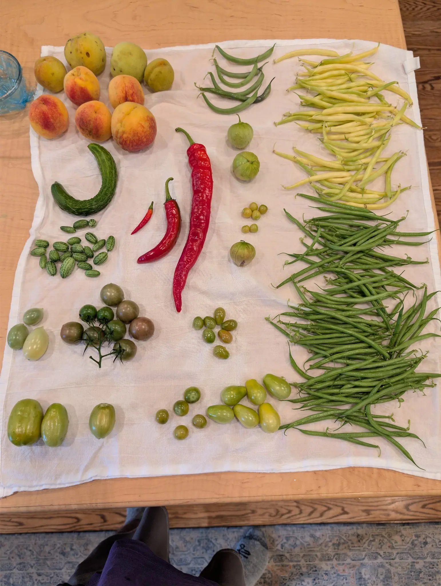 A mixed picking laid out on white cloth on 23 September, the slender green pods heaped deepest of all, a few still curled and holding their stem ends beside pale yellow ones and a scatter of thumbnail-sized striped fruits. Indoors, soft daylight, no hard shadows.