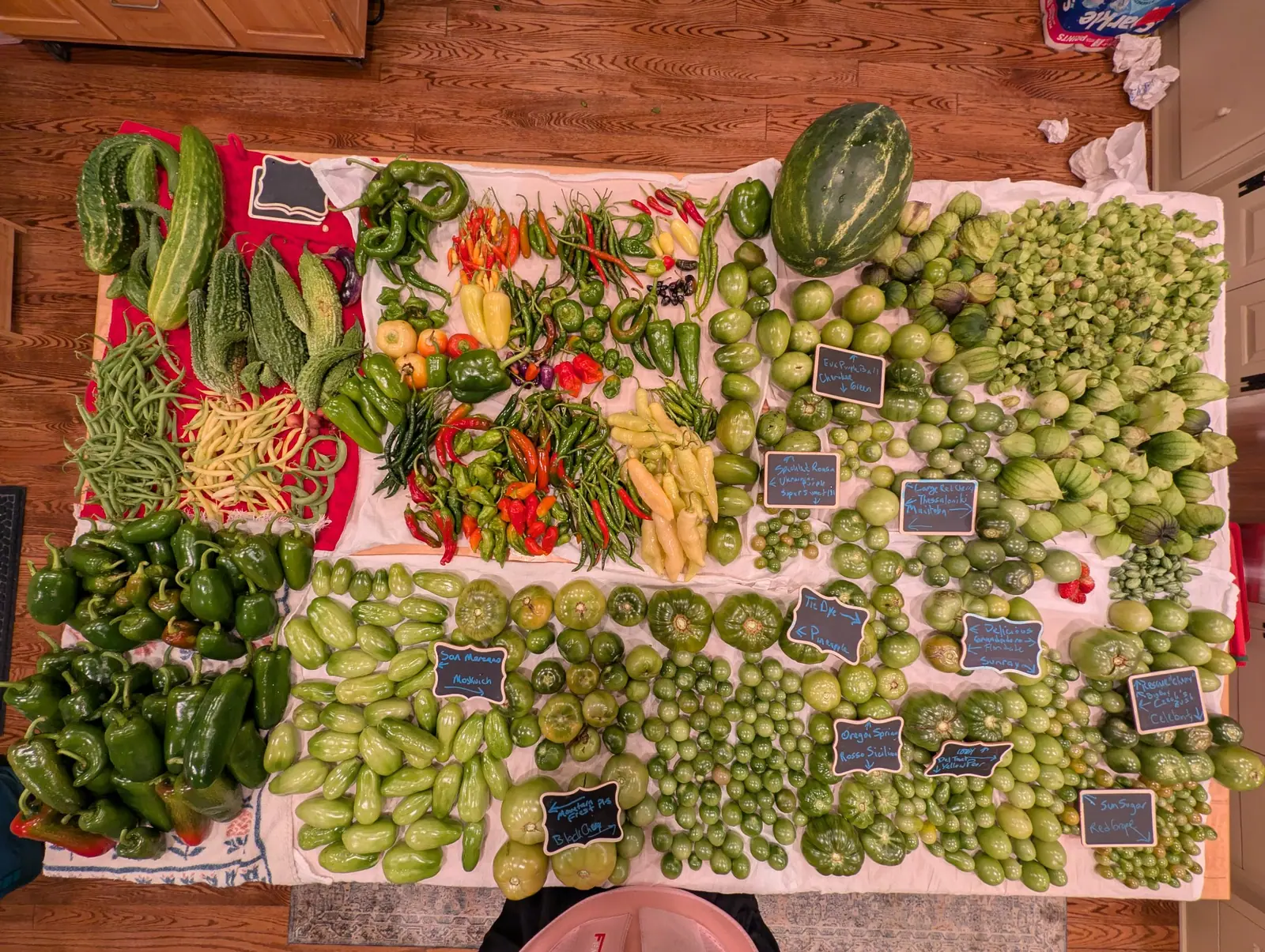 A whole season's picking lies sorted into blocks across white sheets on the floor on 6 October, with a single ripe red fruit among several hundred hard green ones and a row of tiny near-black pods. Flat overhead indoor light, short shadows.