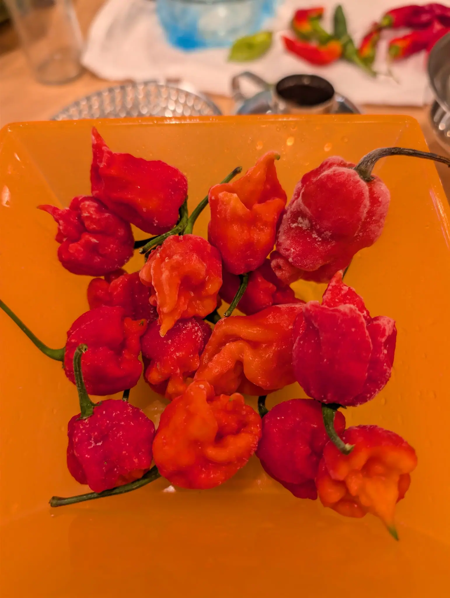 Armageddon F1 peppers on 9 October, about sixteen lantern-shaped fruits piled on a square orange tray, shoulders deeply puckered and split between scarlet and pumpkin orange, several still frosted with ice and sweating under warm kitchen light at night.